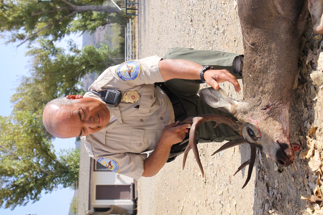 Frank Hernandez, a U.S. Conservation law enforcement officer with the Game Warden's office here, holds the antlers of a buck recently killed by an auto collsion Sept. 19.  Although legal in several states, poaching animals struck by vehicles is illegal in California. Violators can face fines ranging from several hundred to several thousand dollars and risk suspension of their hunting license, depending on the severity of the crime.
