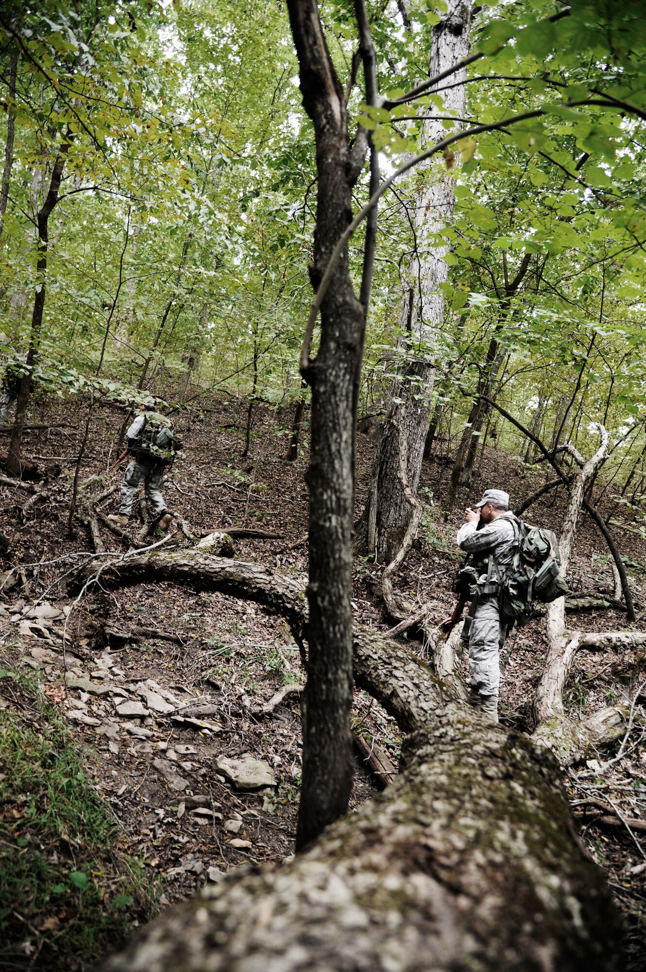 KNOB KNOSTER, Mo.  - 509th Security Forces Squadron members uses their compasses to find the next objective point during land navigation Sept. 16. These Airmen are brushing up on skills that are needed to passthe Air Force Pre-Ranger Course. The Airman that shows the most leadership abilities and highest physical and mental endurance throughout training will be sent to the course. (U.S. Air Force photo by Senior Airman Cody H. Ramirez)
