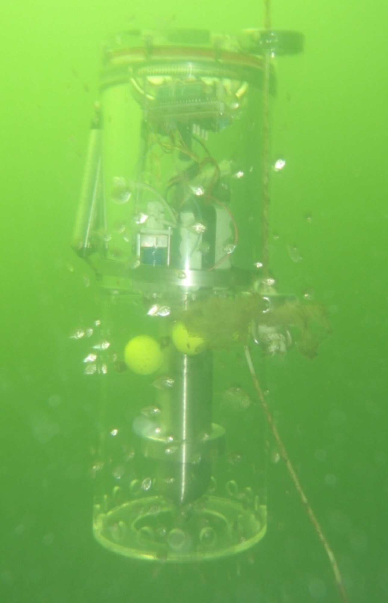 Researchers at Air Force Research Laboratory recently conducted scientific demonstrations here using an under-water biologically-driven system designed to support security and environmental monitoring. (Courtesy photo)