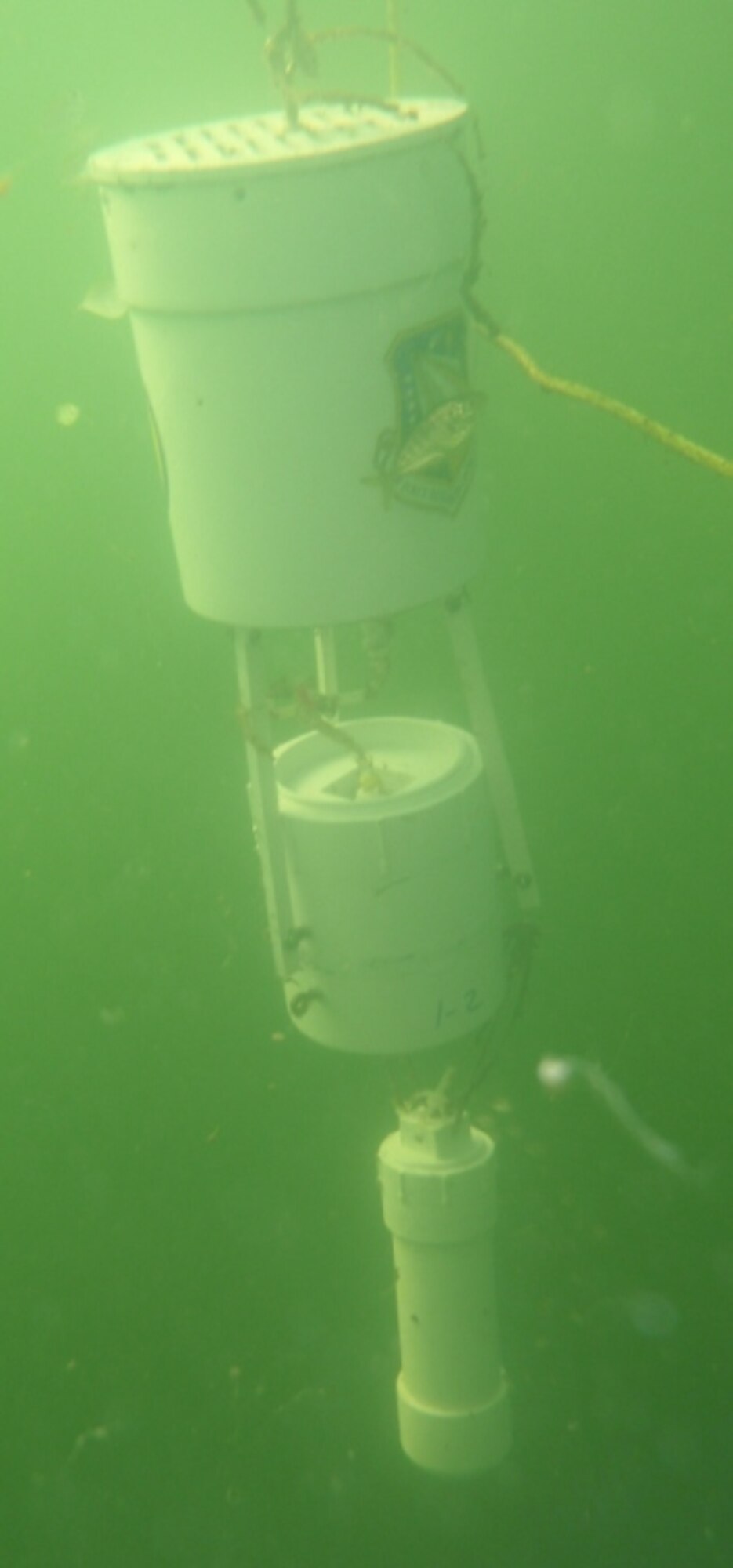 Researchers at Air Force Research Laboratory recently conducted scientific demonstrations here using an under-water biologically-driven system designed to support security and environmental monitoring. (Courtesy photo)