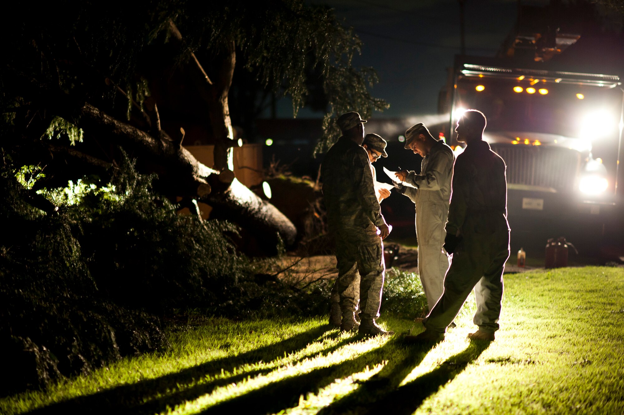 YOKOTA AIR BASE, Japan -- "Dirt boys" from the 374th Civil Engineer Squadron assess a downed tree from Tropical Storm Roke Sep. 21, 2011, at Yokota Air Base, Japan. (U.S. Air Force photo/Staff Sgt. Samuel Morse)