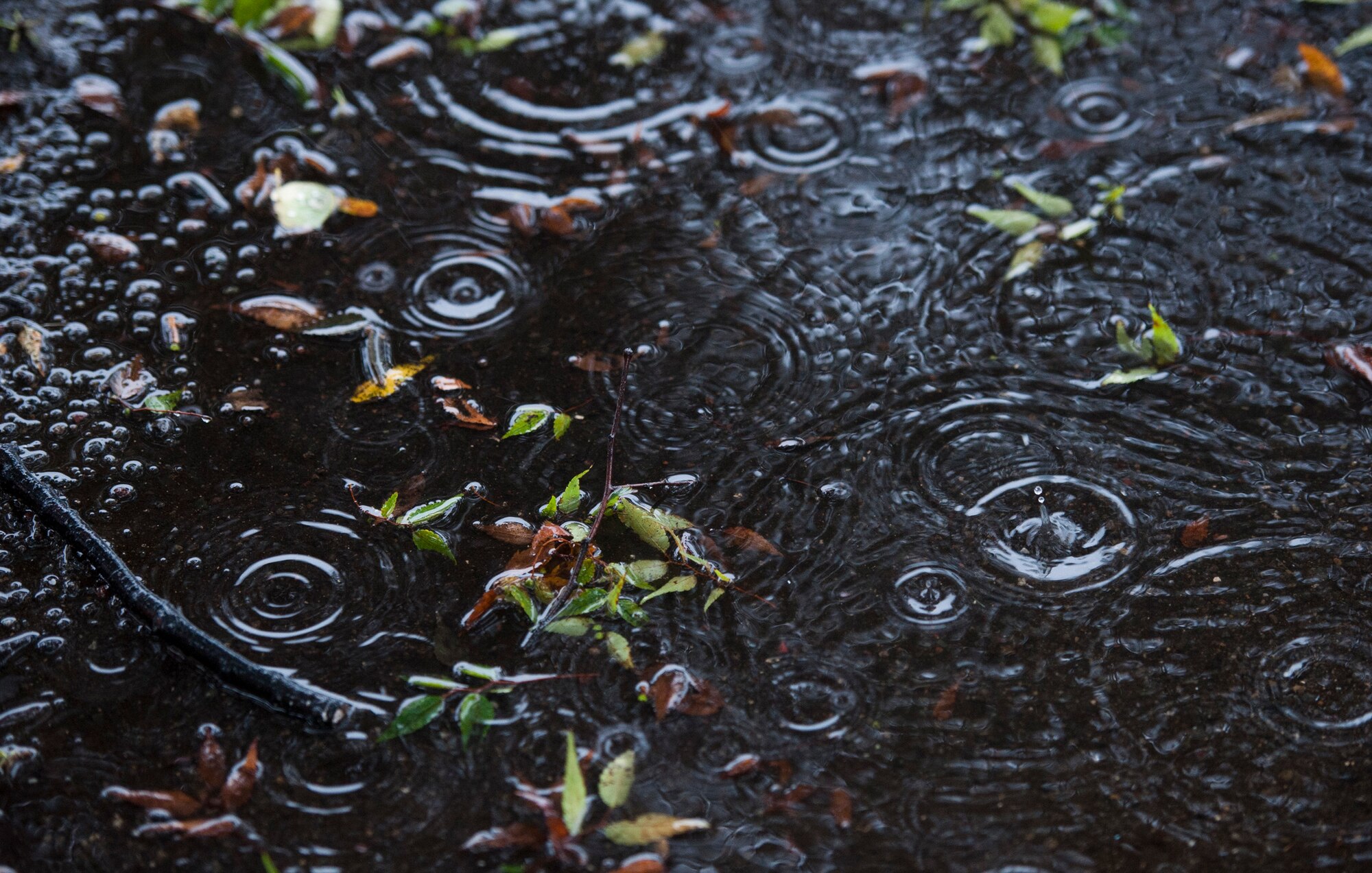 YOKOTA AIR BASE, Japan -- Rain from Tropical Storm Roke falls at Yokota Air Base, Japan, Sep. 21, 2011. (U.S. Air Force photo/Staff Sgt. Samuel Morse)