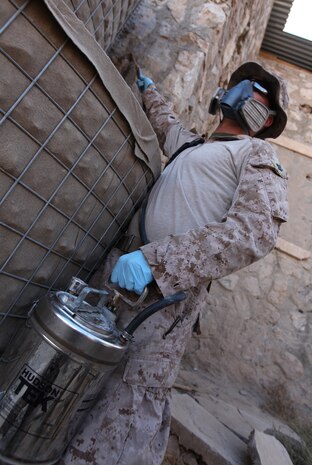 Petty Officer 2nd Class Daniel Walker, a preventative medicine technician with II Marine Headquarters Group, Regional Command Southwest, sprays a broad spectrum insecticide into an Oriental hornet nest at Forward Operating Base Zeebrugge, Afghanistan, Sept. 24. Walker, along with another sailor, visited the base for a series of pest treatments. (U.S. Marine Corps photo by Sgt. Justin J. Shemanski)