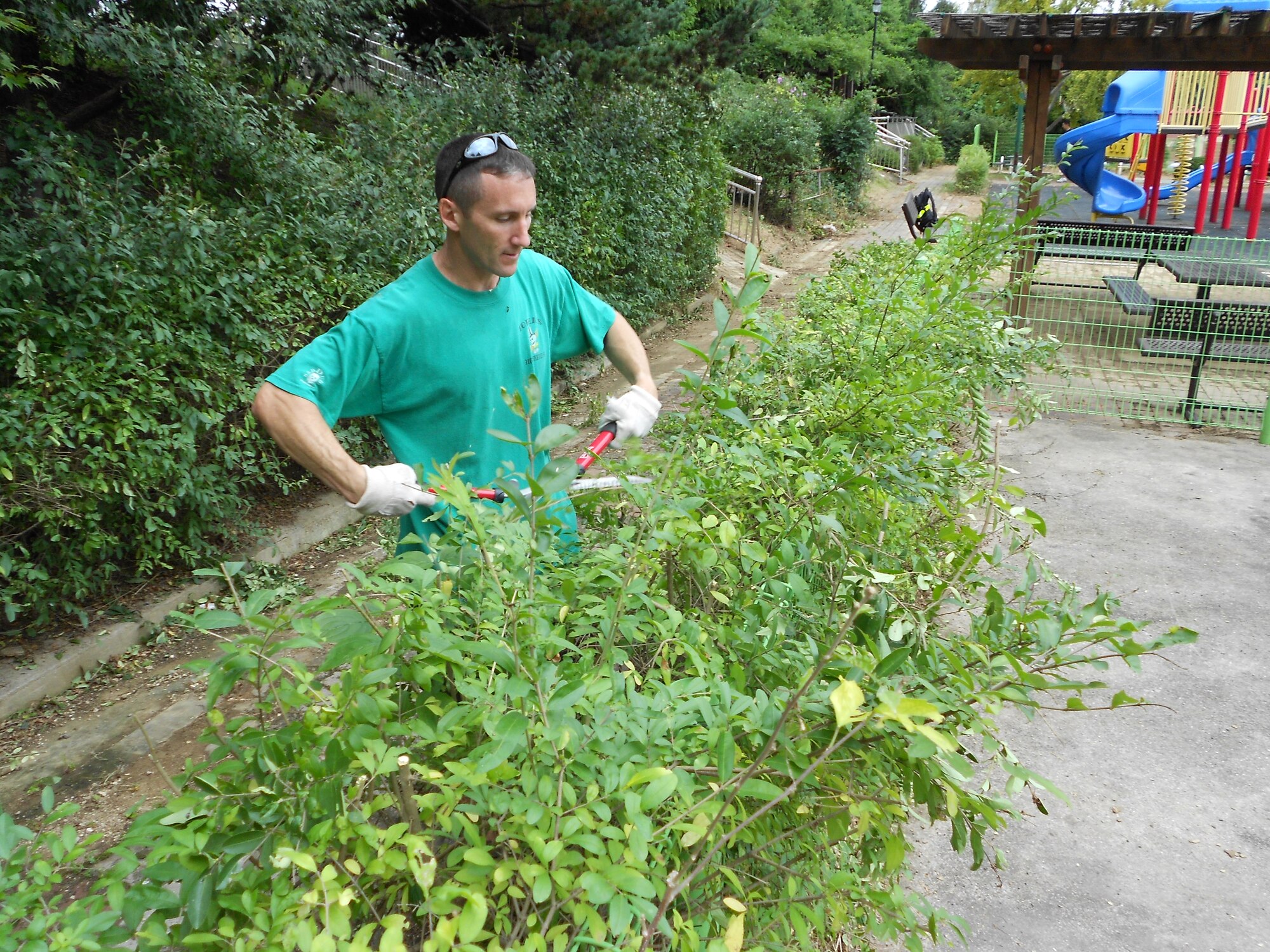 Lt. Col. Steve Harrold, 51st Fighter Wing Inspector General, clips unruly hedge branches Sept. 18, 2011, at the Mustang Valley Village playground. The playground's flora grew unchecked for several months after the village's residential buildings were razed.  The plot of land was returned to the Air Force for maintenance Aug. 10. Currently, there is no start date for the Mustang Valley Village playground renovation. It was discussed during a recent Facilities Management Board and there should be movement on the project once it gets approved. (U.S. Air Force photo/Senior Master Sgt. Stuart Camp)
