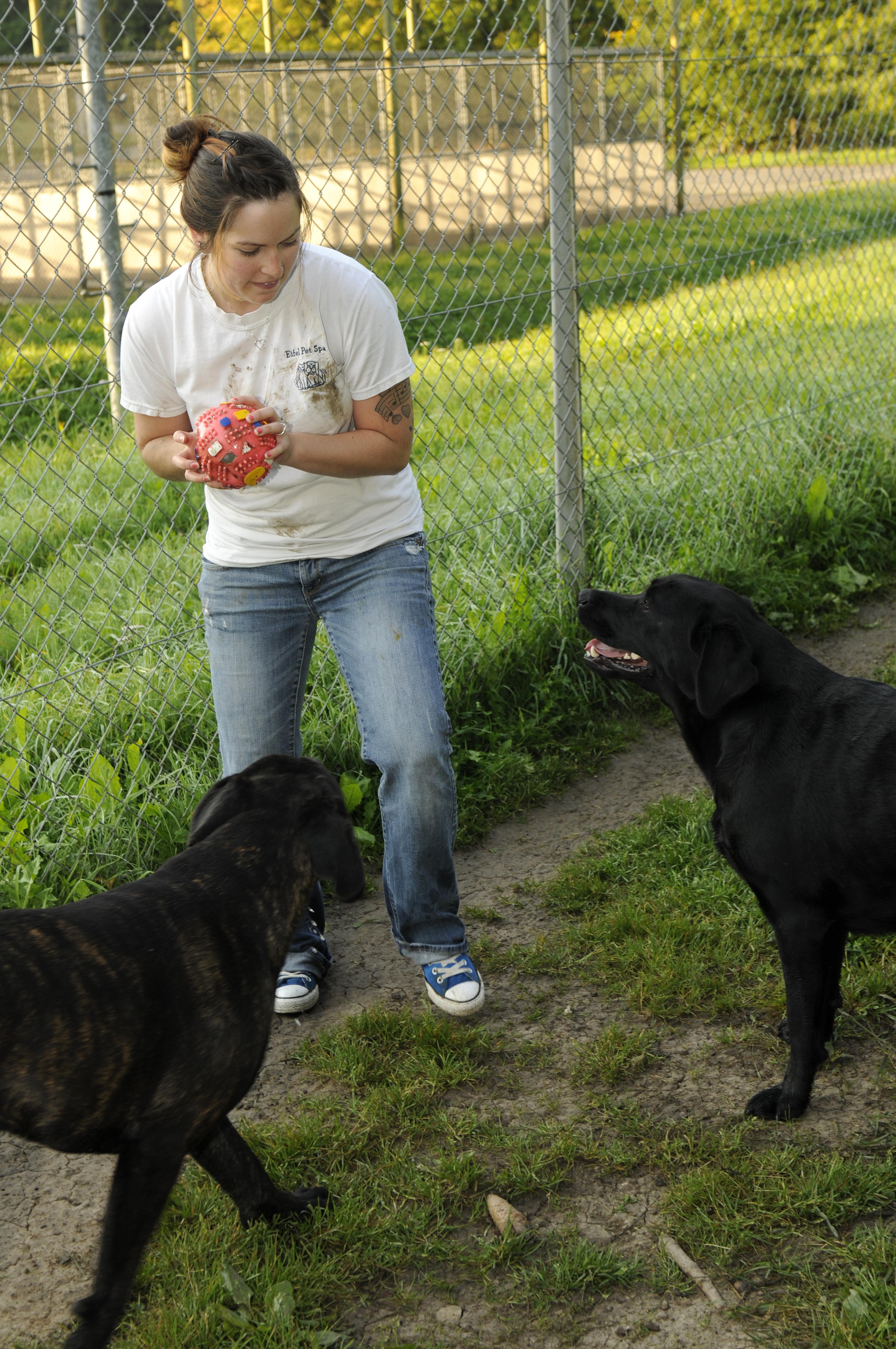 Pet care takers near me sale