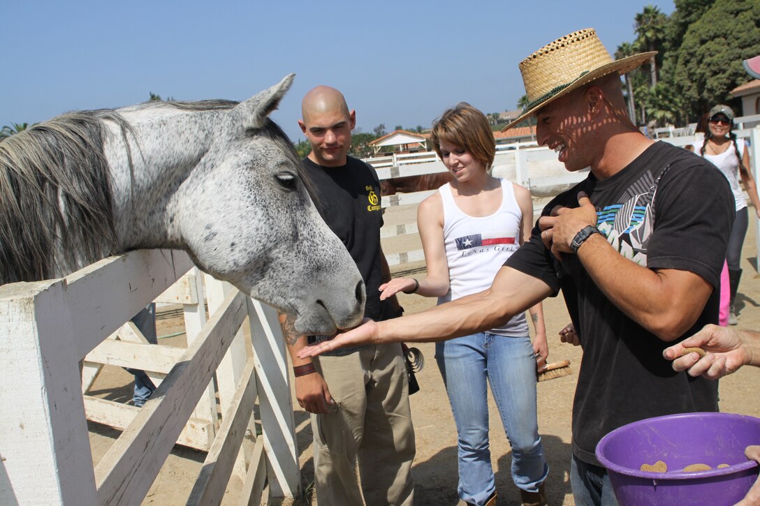 Marine get the chance to feed horses after finishing up their volunteer work with the Pegasus Rising Project at Valenti Ranch, Rancho Santa Fe, Calif. Sept 28. The Pegasus Rising Project helps service members who have been diagnosed with post-traumatic stress disorder with therapeutic interactions with a family of Polish Arabian horses.