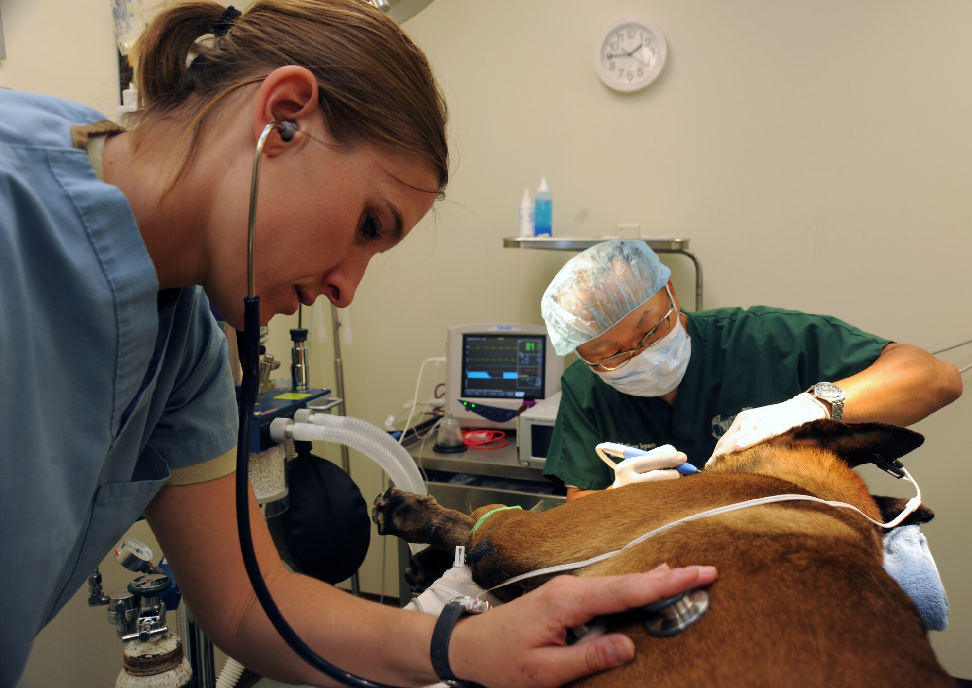 Capt. Morgan Mander, Army veterinarian, Minot Air Force Base, N.D., checks the vitals of Tech. Sgt.  Arno, 5th Security Forces Squadron explosive ordinance detector K-9 from Minot AFB. Captain Mander commutes once a month to Grand Forks from Minot to help privately owned dogs and the base K-9 Unit.  (U.S. Air Force photo by Senior Airman Amber E. Bennett)