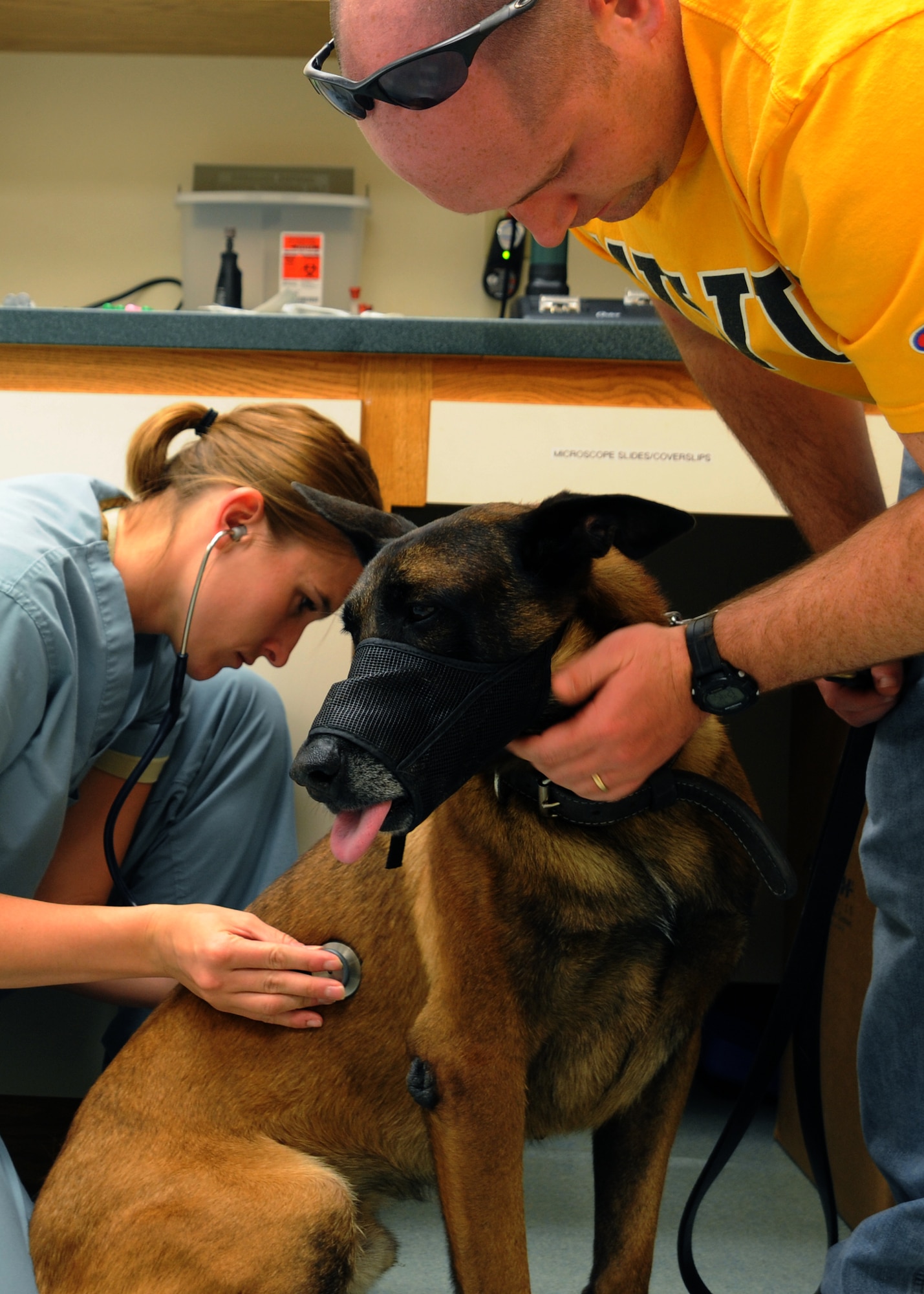 Capt. Morgan Mander, Army veterinarian, Minot Air Force Base, N.D., checks the vitals of Tech. Sgt.  Arno, 5th Security Forces Squadron explosive ordinance detector K-9 from Minot AFB  Sept. 28, 2011, on Grand Forks Air Force Base, N.D.  Captain Mander commutes once a month from Minot to Grand Forks to help privately owned dogs and the base K-9 Unit.  (U.S. Air Force photo by Senior Airman Amber Bennett)