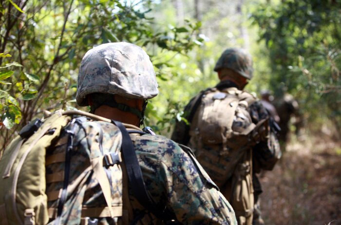 Marines with Combat Logistics Regiment 25, 2nd Marine Logistics Group, patrol through a ditch during a field exercise at Gun Point One aboard Camp Lejeune, N.C., April 4, 2012. During the training exercise, the regiment called upon the help of infantrymen from several battalions across 2nd Marine Division. (U.S. Marine Corps photo by Pfc. Franklin E. Mercado)