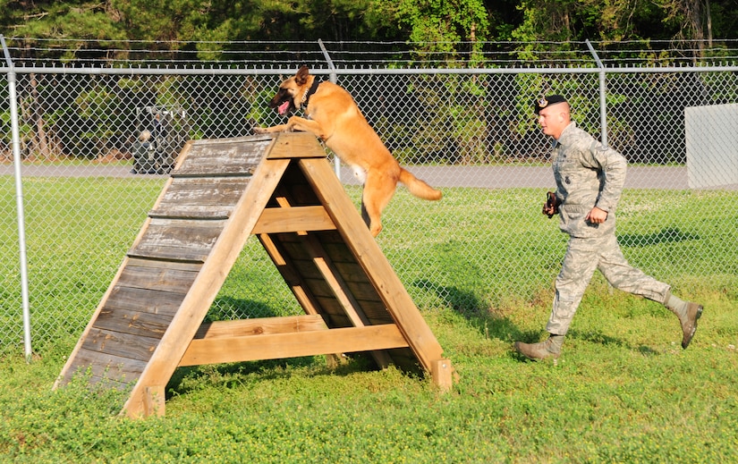 Staff Sgt Timothy Garrett trains Akim, a Belgian Malanois at Joint Base Charleston - Air Base March 29. The 628TH Security Forces squadron's K-9 unit animals are primarily responsible for drug and explosive detection. Garrett is a military working dog handler and Akim is a military working dog, both are with the 628th SFS. (U.S. Air Force photo/ Airman 1st Class Chacarra Walker)