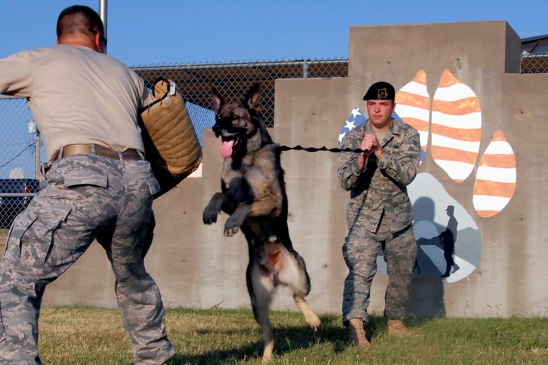 Sheppard’s Security Forces Squadron provides force protection for the base as well as fully trained and qualified security forces personnel to Air Expeditionary Force deployments. Their efforts include police services, antiterrorism, air base defense, physical security, personnel security and combat arms training. The Security Forces Squadron also operates the military working dog kennel. (U.S. Air Force courtesy photo)