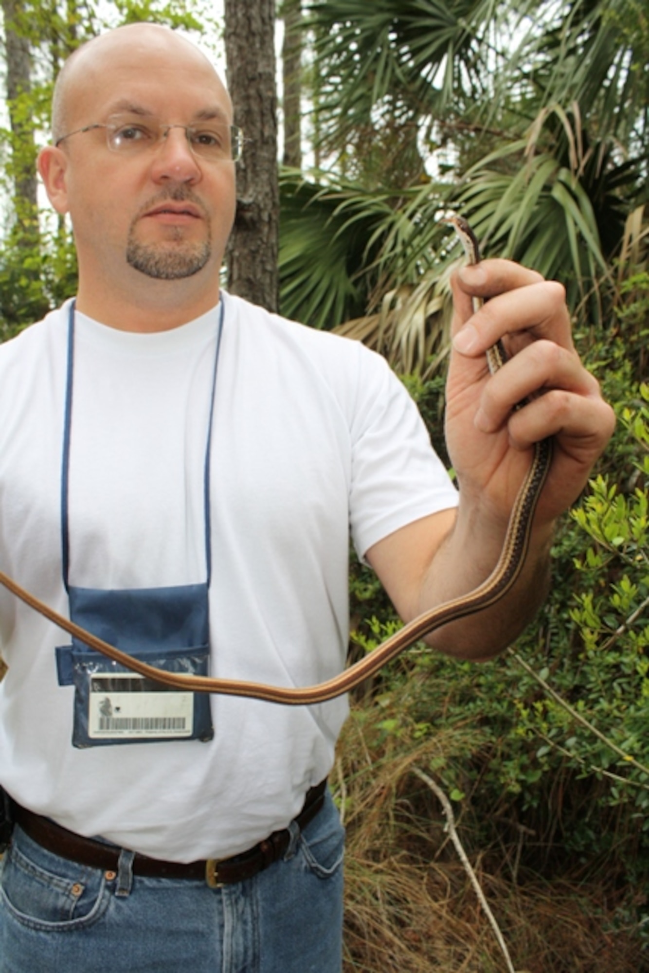 Philip Pruitt, chief of the Asset Environmental Flight of 1st Special Operations Civil Engineer Squadron, holds up a ribbon snake in Hurlburt Field, Fla, in this recent photo. Ribbon snakes are among the more than three dozen species of snakes that are native to this part of Florida. (Courtesy photo)