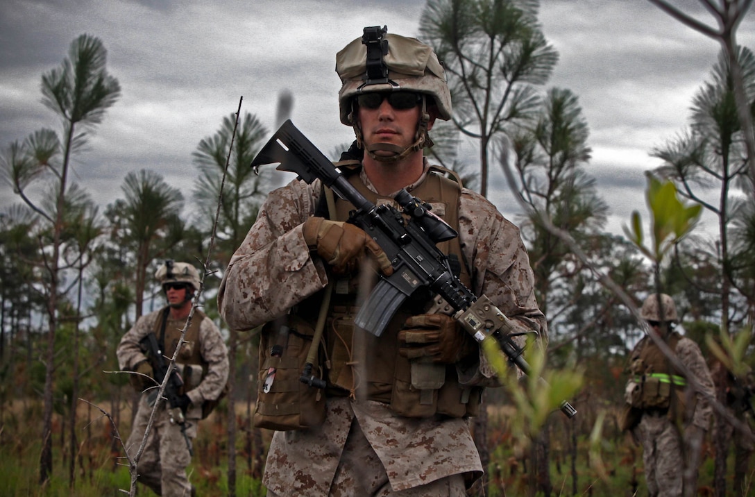 Sergeant Luke McNally of Marlton, N.J., patrols through the brush during a live-fire exercise.  The 27-year-old squad leader with Company F, 2nd Battalion, 8th Marine Regiment, 2nd Marine Division, led his squad of Marines through the burning fields and smoke-filled air to the end of the range.