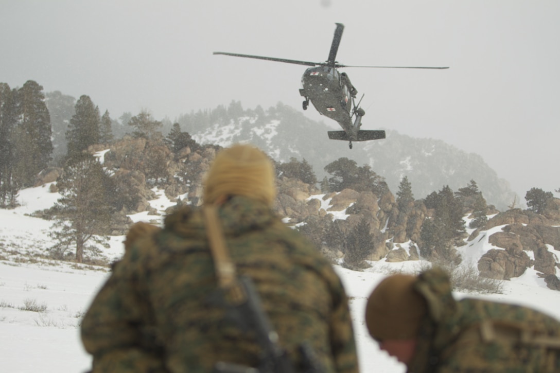 Marines prepare to sprint toward an incoming Black Hawk helicopter during a medical evacuation exercise at the Marine Corps Mountain Warfare Training Center Bridgeport, Calif. April 5, 2012.