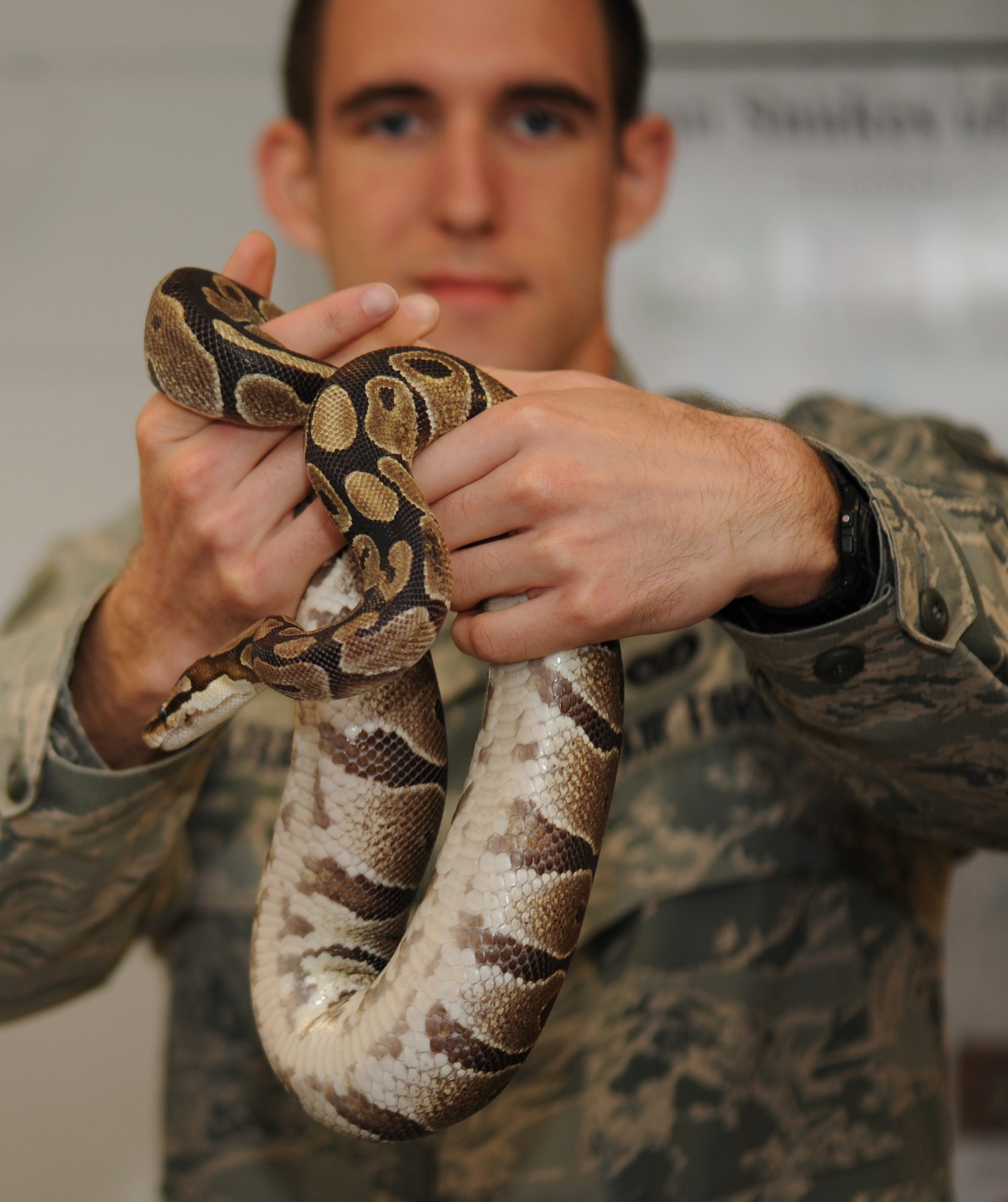 U.S. Air Force Senior Airman Steven Peterson, 633rd Civil Engineer Squadron pest control specialist, displays “Romeo,” a water snake, at the Entomology Shop at Langley Air Force Base, Va., April 5, 2012. Corn snakes, northern water snakes and black rat snakes are common to the base and the surrounding area. (U.S. Air Force photo by Airman 1st Class Teresa Cleveland/Released)