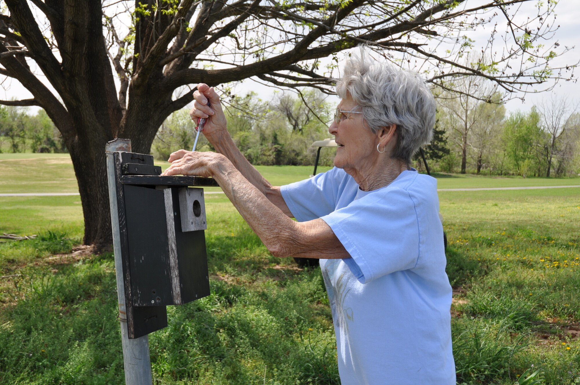 Betty Cunningham tends to the bluebirds at Tinker Golf Course every week, checking on the mothers and their eggs. She records how many eggs are laid and how many are hatched and sends a report to the Oklahoma Department of Wildlife Conservation. She and her late husband, Dean, have fledged more than 800 bluebirds since the inception of the Nest Box Trail project in 1989. (Air Force photos by Kimberly Woodruff)
