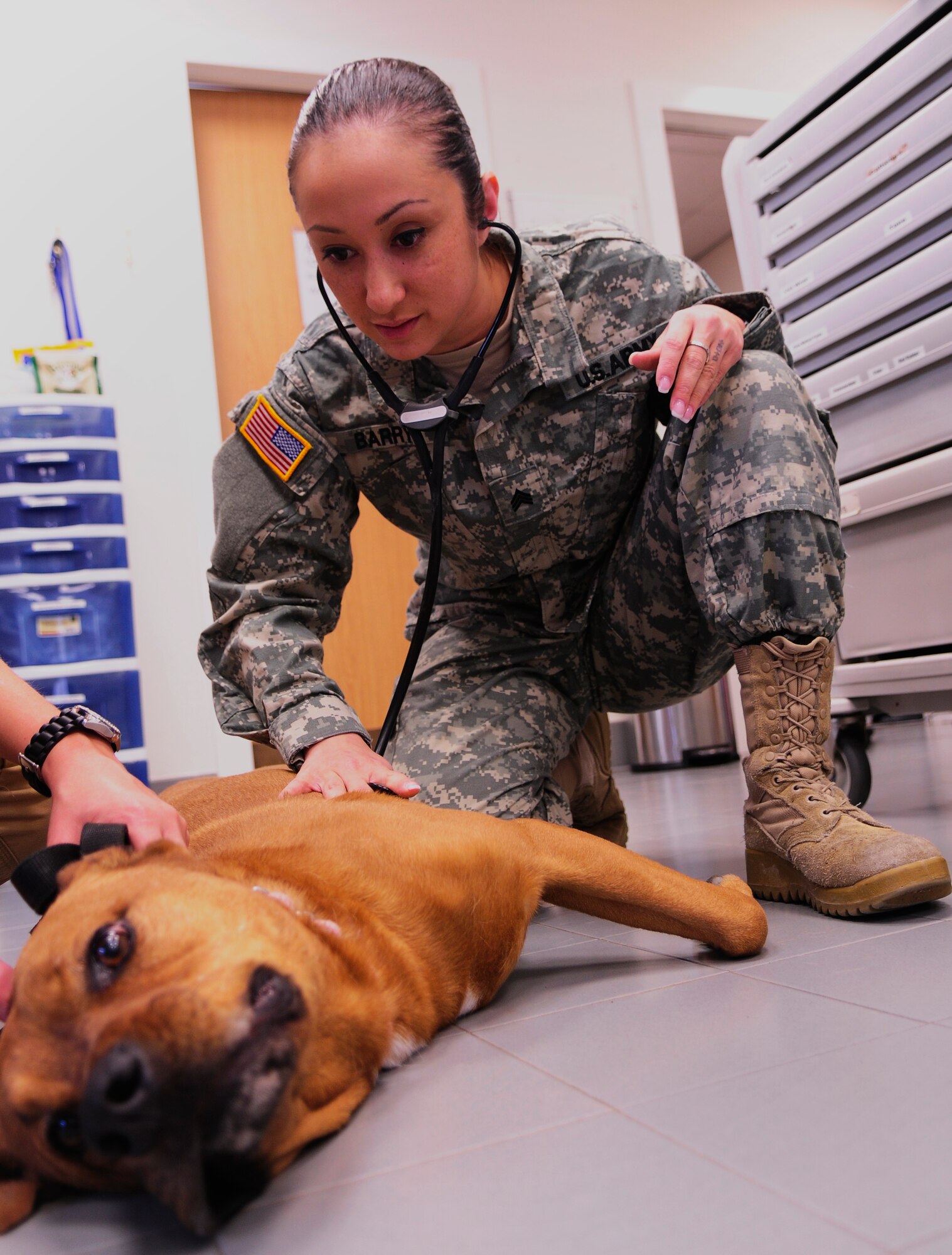 Army Sgt. Juliane Barry, Aviano veterinary treatment facility NCO in charge, listens to a dog’s heartbeat March 30 at Aviano Air Base, Italy. Barry does this as part of a routine checkup to ensure the animal has no health problems. (U.S. Air Force photo/Airman 1st Class Briana Jones)
