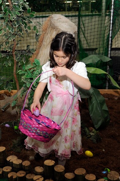 The daughter of Aileen White, Drug Demand Reduction Program drug testing administrator, puts a plastic egg in her basket during the 35th Force Support Squadron egg'stravaganza at Misawa Air Base, Japan, April 8, 2012. More than 200 children participated in the Easter egg hunt sponsored by 35 FSS, the Exchange and the base Commissary. (U.S. Air Force photo by Tech. Sgt. Marie Brown/Released)