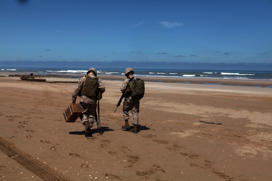 Marines with the 24th Marine Expeditionary Unit walk along the beach after debarking an LCAC (landing craft air-cushioned) during ship to shore movements, April 9, 2012. The 24th MEU, partnered with the Navy's Iwo Jima Amphibious Ready Group, is deploying to the European and Central Command theaters of operation to serve as a theater reserve and crisis response force capable of a variety of missions from full-scale combat operations to humanitarian assistance and disaster relief.