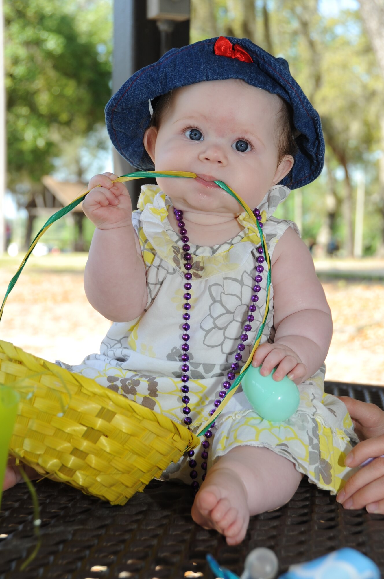 Six-month-old Alyssa Schleiger sits on a picnic table at the Keesler Marina Park with her Easter basket and egg in hand following an Easter egg hunt and parade April 7, 2012, Keesler Air Force Base, Miss.  The base’s outdoor recreation center hosted the event with more than 5,000 candy filled eggs hidden throughout the park.  Children searched for eggs in three separate age divisions.  There were 30 prize eggs which awarded chocolate bunnies and one grand prize egg in each division that included a tricycle for the youngest age group and bicycles for the two older age groups.  Alyssa’s parents are Senior Airman Victoria Schleiger, 81st Aerospace Medicine Squadron, and Mike Fellows.  (U.S. Air Force photo by Kemberly Groue)