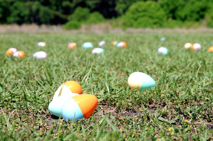 Hundreds of eggs are scattered throughout the fields at Marrington Plantation during the Easter Egg Hunt and Month of the Military Child Festival at Joint Base Charleston – Weapons Station, April 7. Hundreds of Air Force and Navy service members and their families, along with Department of Defense employees, retirees and Reserve members joined in the festivities which featured food to choose from, games, a bouncy castle, face painting and raffle prizes. (U.S. Navy photo/Petty Officer 1st Class Jennifer Hudson)