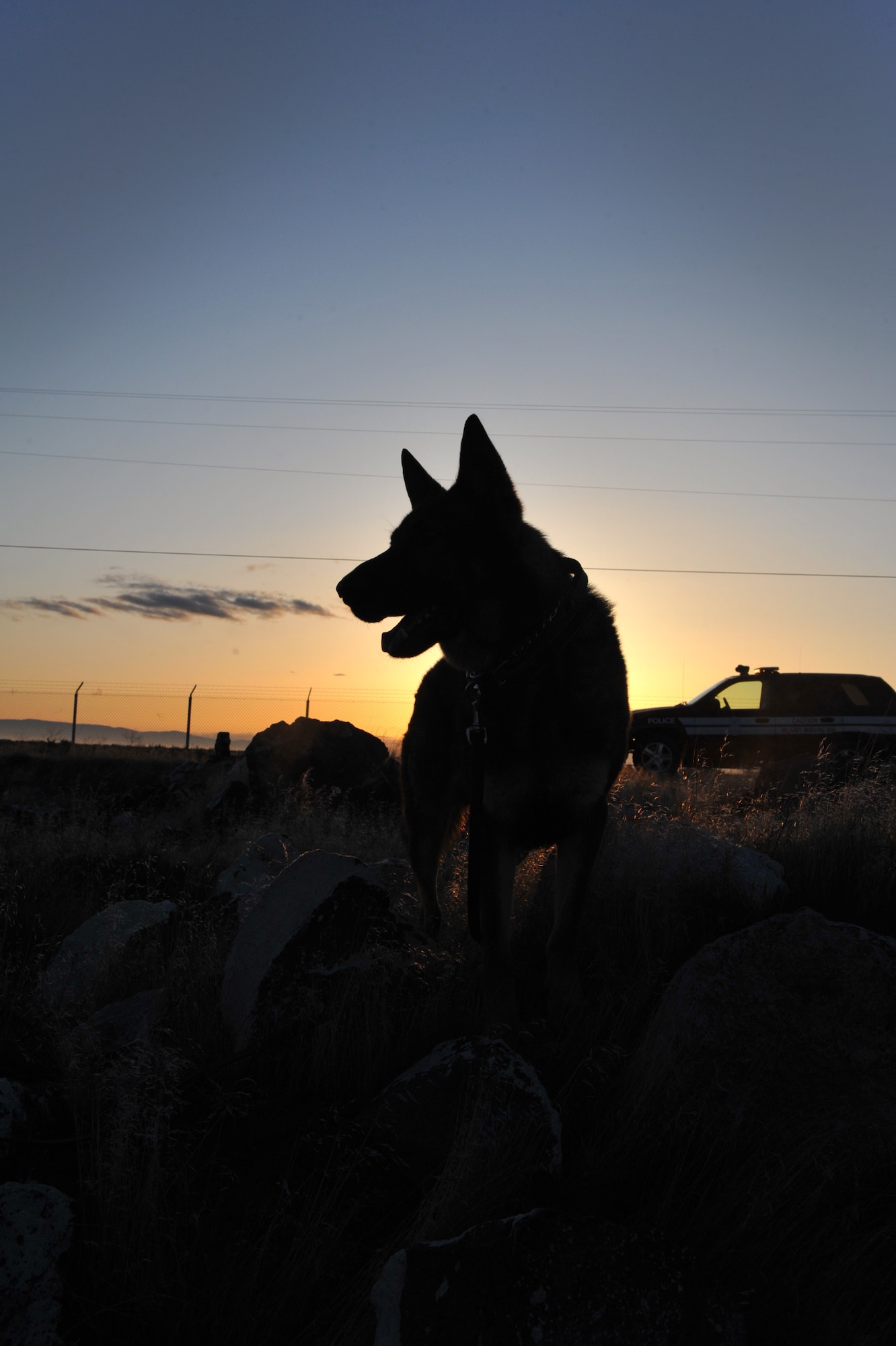 U.S. Air Force Military Working Dog, Onix, gets acquainted with the area near the perimeter of the base as part of his initial training, April 5, 2012, at Mountain Home Air Force Base, Idaho. Onix has been getting evaluated and acclimated to the base since he arrived here March 29, 2012. (U.S. Air Force photo/Airman 1st Class Heather Hayward)