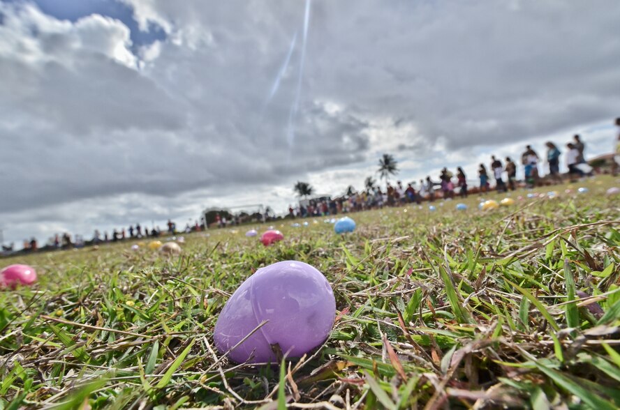 ANDERSEN AIR FORCE BASE, Guam-Andersen children search for eggs during the "EASTER EGGS-TRAVAGANZA" April 7 at the Andersen Youth Center field.  More than 5,000 candy-filled eggs were hidden for the children to find.  There were also other springtime activities such as face painting, caribou riding, games and various booths and demonstrations for all ages to enjoy.  (U.S. Air Force photo by Staff
Sgt. Alexandre Montes)  
