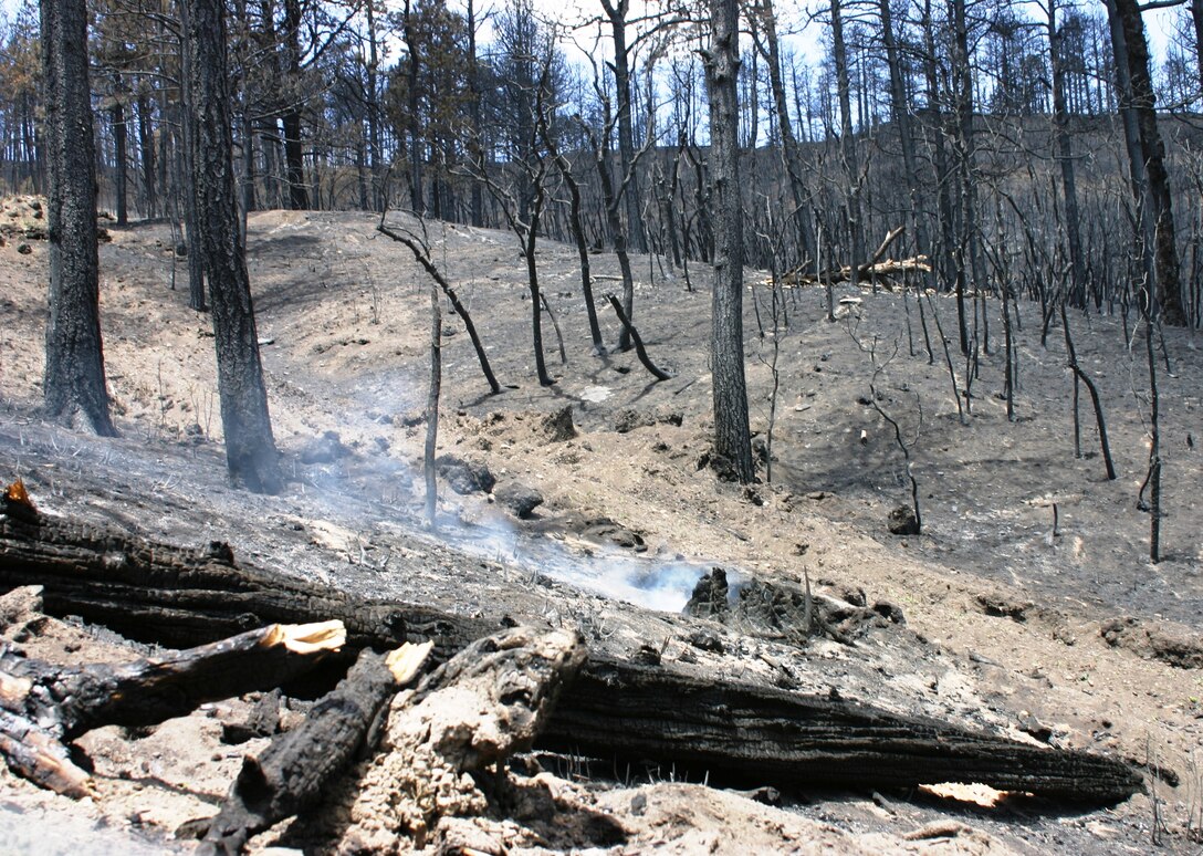 RATON, N.M., -- During the visit by the District's regulatory staff, logs were still smoldering from the fire.

