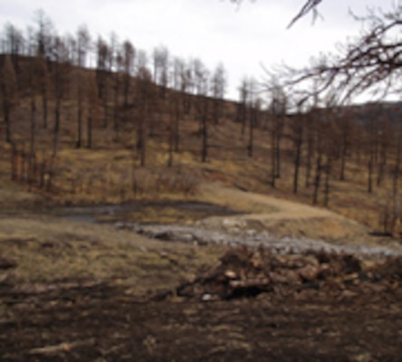 RATON, N.M., -- Town workers have built seven berms, so far, as part of an effort to keep debris and sediment from going downhill into Lake Maloya.