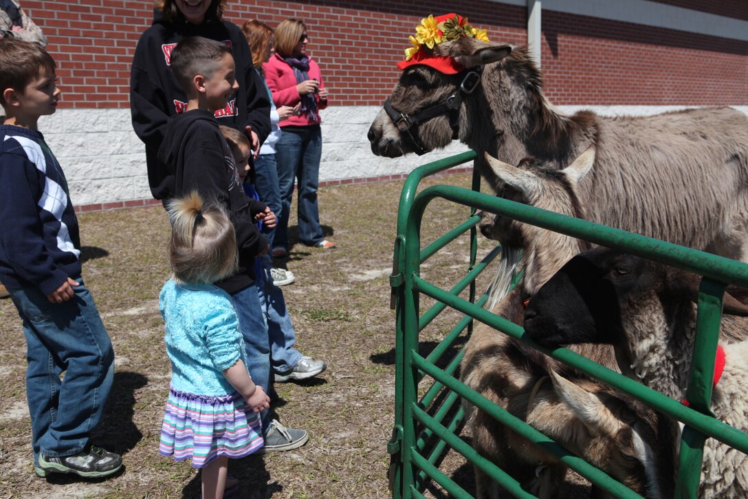 Military children feeds animals during the annual School of Infantry-East Spring Break Social, hosted at Ivy Hall aboard Camp Geiger, recently. Oak Gove Stables brought their petting zoo, which included a goose, llama, rabbit, chicken, duck, kids and goats. Children fed the farm animals and saddled up for pony rides.