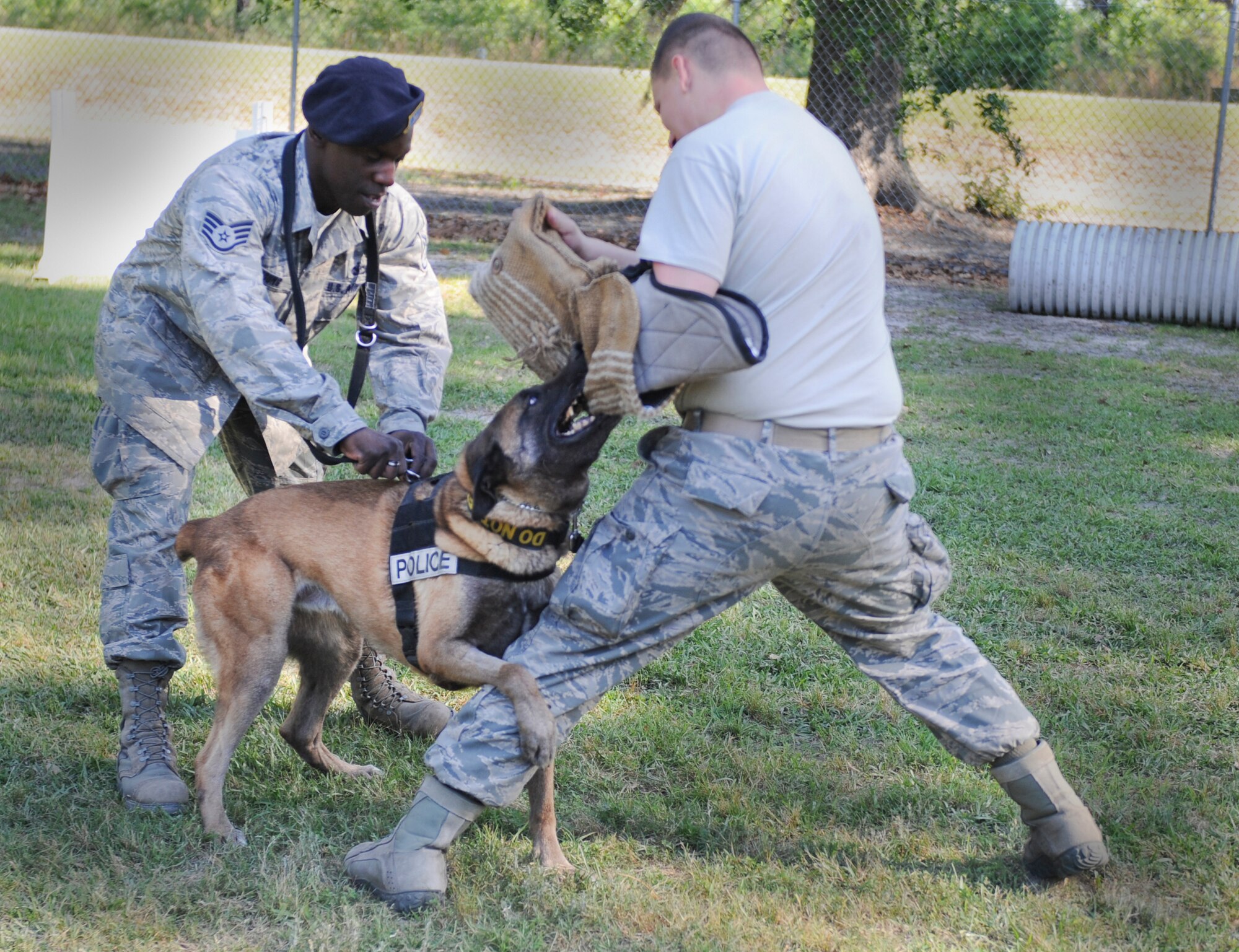 U.S. Air Force Staff Sgt. Ronald Young and Senior Airman Andrew Sgroi, 23d Security Forces Squadron military working dog handlers, demonstrate an attack with MWD Nnorman at Moody Air Force Base, Ga., April 12, 2012. This demonstration showed the high level of obedience from MWD Nnorman and his ability to follow proper commands. (U.S. Air Force photo by Airman 1st Class Douglas Ellis/Released)
