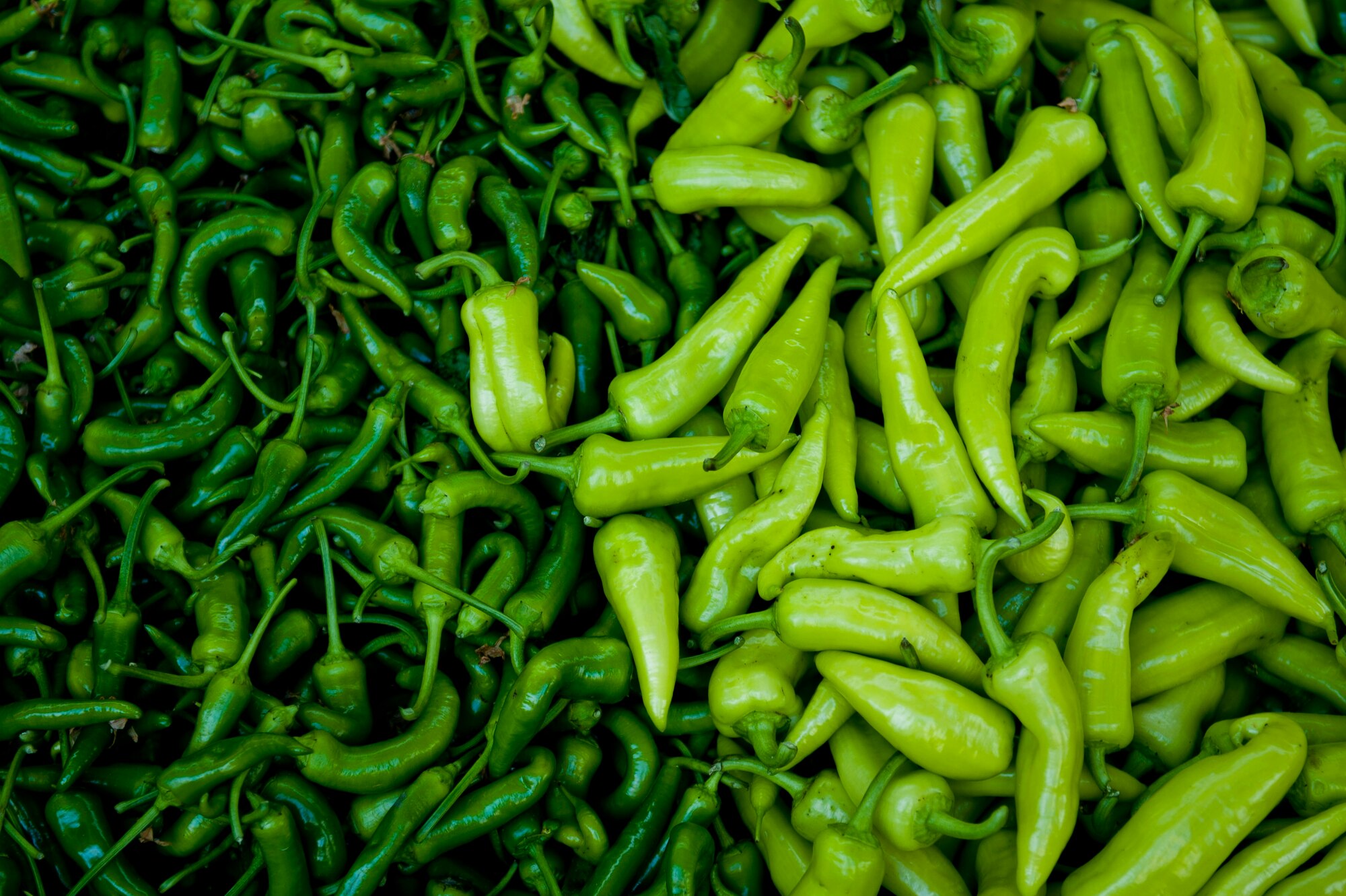 Many vegetables, including peppers, are commonly found at farmers markets in Adana, Turkey. Markets are open on different days of the week in various districts of Adana. The climate and fertile soil of the area allow the markets to offer a wide variety of fresh goods at low prices. (U.S. Air Force photo by Tech. Sgt. Michael B. Keller/Released)