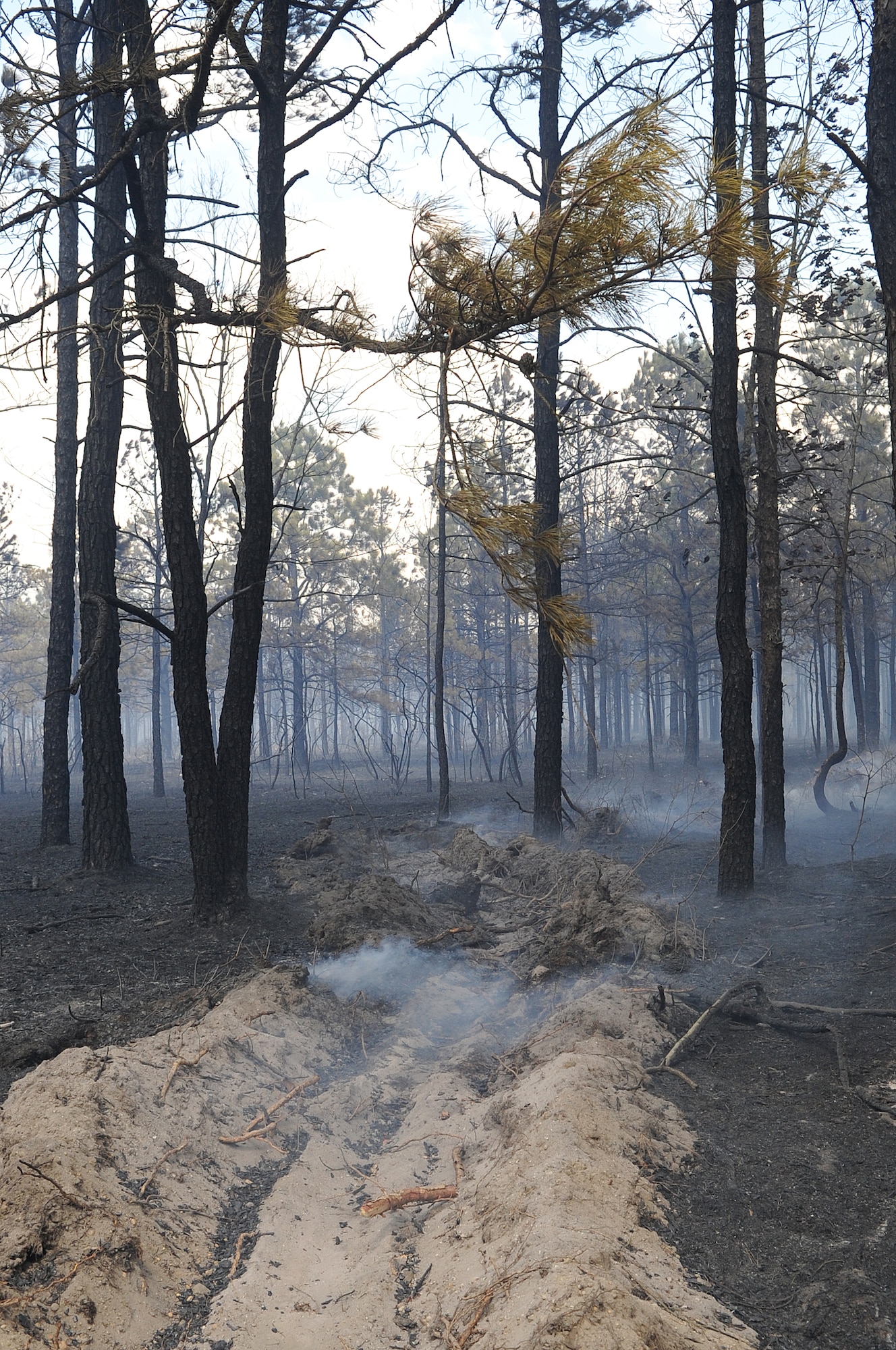 Trees on Joint Base McGuire-Dix-Lakehurst smolder after being extinguished April 9. A fire-ditch was dug to halt the movement of the blaze to prevent further damage. The fire started in training ranges 13 and 14 and burned more than 300 acres of land. (U.S. Air Force photo by Russ Meseroll/Released)