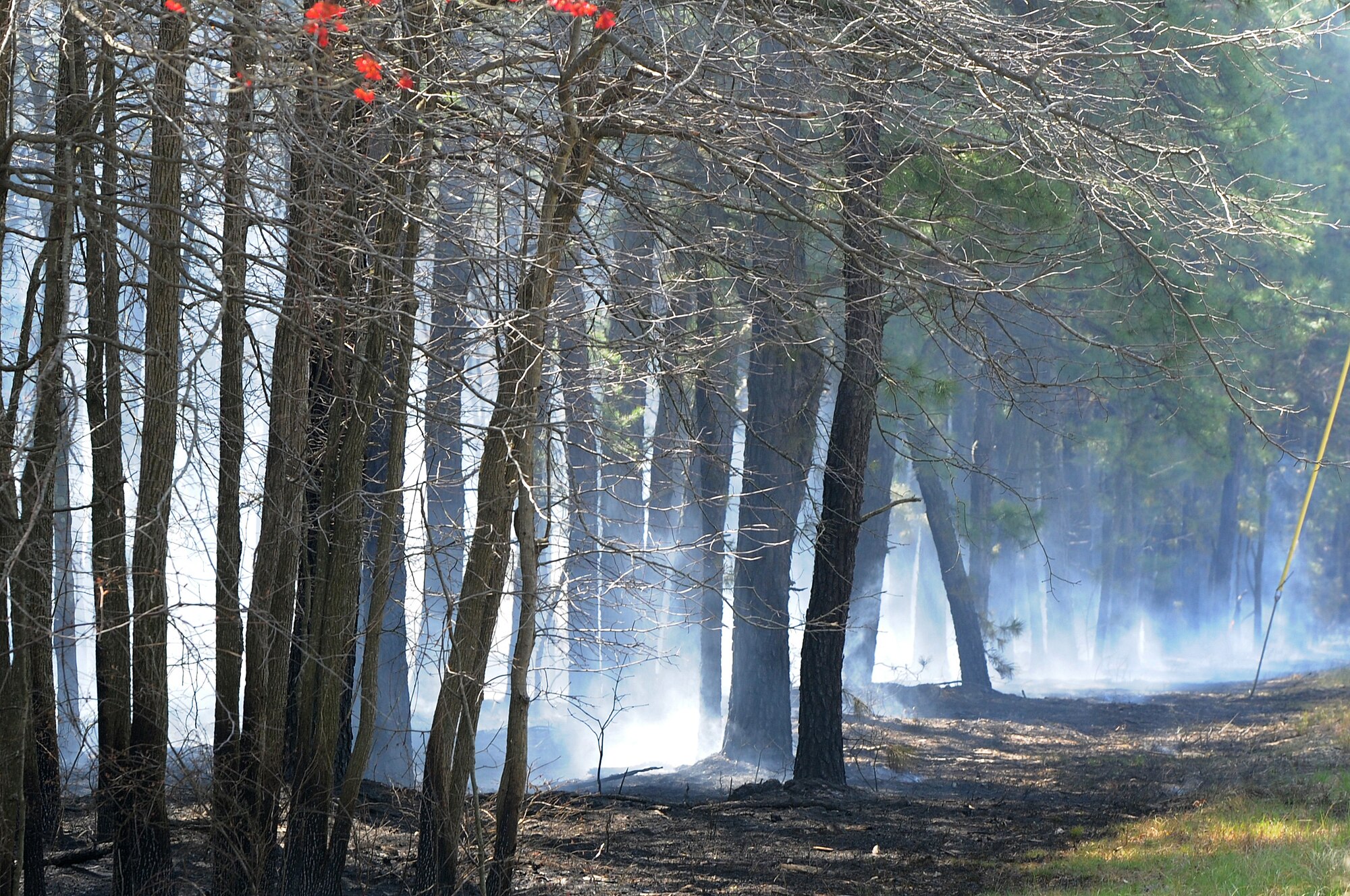The Tree line is masked with smoke as the ground still smolders after being extinguished April 9 here. JB MDL Fire and Emergency Services crews as well as emergency responders from surrounding communities responded to the fire around 9:30 a.m. (U.S. Air Force photo by Russ Meseroll/Released)