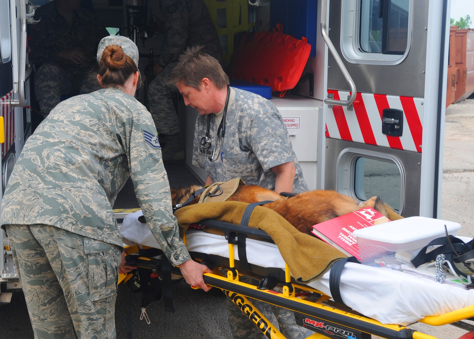 U.S. Air Force Staff Sgt. Ivory Mosher, left, and Belinda Ruark, 7th Medical Group, carry Condor 7th Security Forces military working dog, into the back of an ambulance before transporting him to the 7th MDG for his root canal April 13, 2012, at Dyess Air Force Base, Texas. (U.S. Air Force photo by Airman 1st Class Cierra Bullock/ Released)