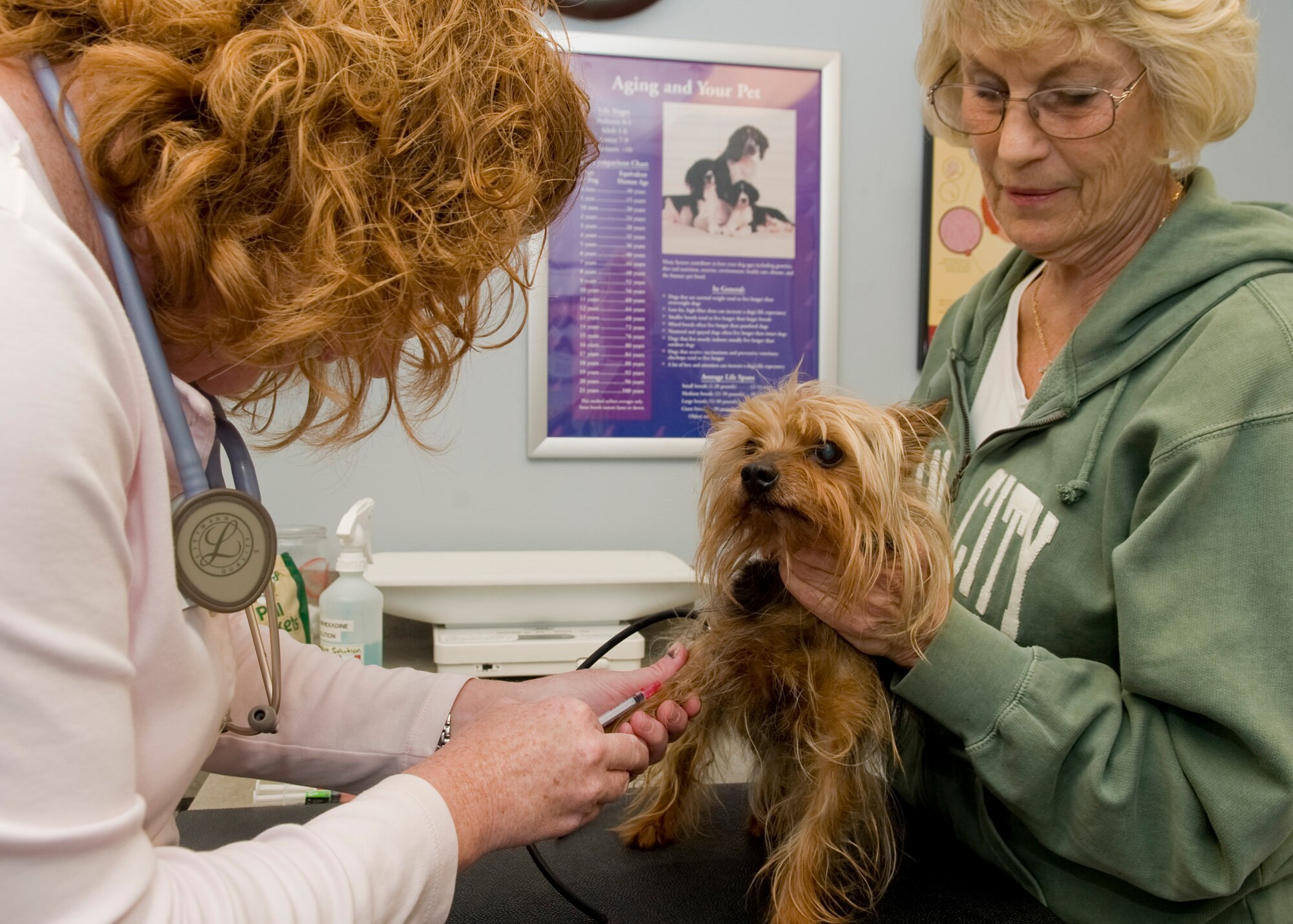 Marcia Robinson (right) holds her dog as Tracy Pierce, 2nd Force Support Squadron veterinarian, draws blood from Chico, a 13 year-old Yorkshire Terrier, at the veterinary clinic on Barksdale Air Force Base, La., April 16. Chico had his annual check-up where he received necessary vaccines and a wellness screening. (U.S. Air Force photo/Senior Airman Kristin High)(RELEASED)