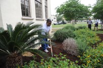 Staff Sgt. Tausha Walker, Air Education and Training Command directorate of medical services and training public health craftsman, spreads mulch around Bldg. 671 on Joint Base San Antonio-Randolph, Texas April 12. The unit was landscaping the building during I Love Randolph week. (U.S. Air Force photo by Rich McFadden) 