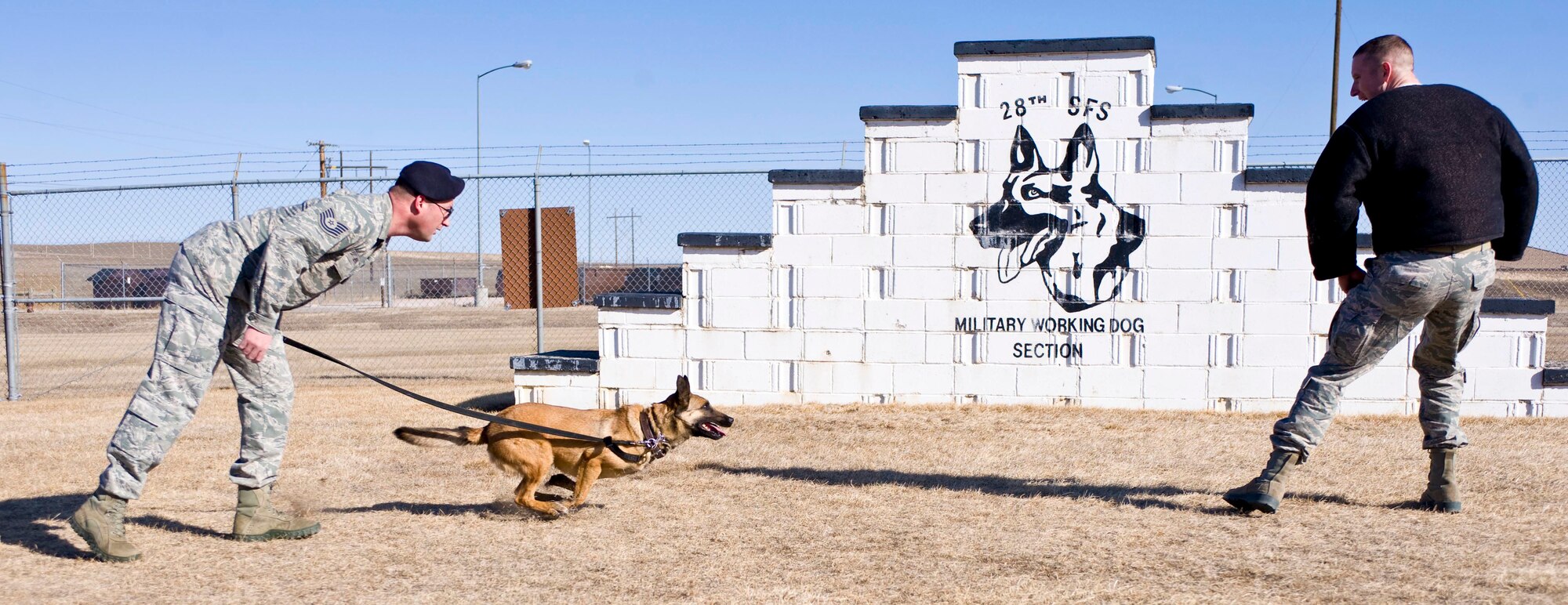 Tech Sgt. Randy Jensen, 28th Security Forces Squadron military working dog handler, and Jecky, 28th Security Forces Squadron military working dog, conduct field training with Tech Sgt. Benjamin Thomas, 28th Security Forces Squadron military working dog trainer, at Ellsworth Air Force Base, S.D., March 8, 2012. The training allows for real world operations to be dealt in a more safe and effective manner. (U.S. Air Force photo by Airman 1st Class Anania Tekurio/Released)