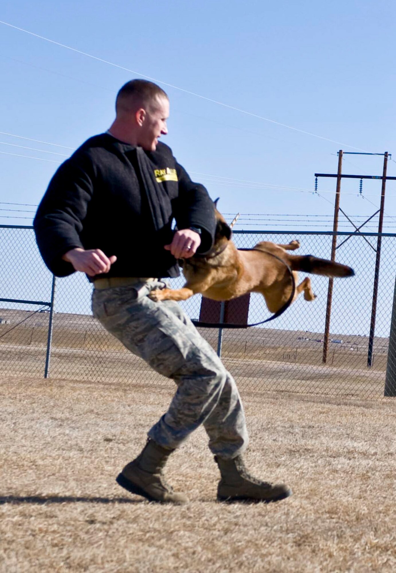 Jecky, 28th Security Forces Squadron military working dog, subdues Tech Sgt. Benjamin Thomas, 28th Security Forces Squadron military working dog trainer, during training at Ellsworth Air Force Base, S.D., March 8, 2012.  This training is known as the bite and hold technique where the military working dog  bites the offender and holds until back up personnel can secure the individual. (U.S. Air Force photo by Airman 1st Class Anania Tekurio/Released)