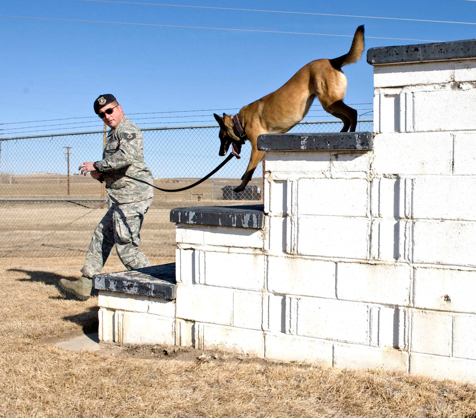 Tech. Sgt. Randy Jensen, 28th Security Forces Squadron military working dog handler, guides Jecky, 28th Security Forces Squadron military working dog, down the confidence steps at Ellsworth Air Force Base, S.D., March 8, 2012. The confidence steps are part of an obedience course set up for the military working dogs to train for real world operations. (U.S.Air Force photo by Airman 1st Class Anania Tekurio/Released)