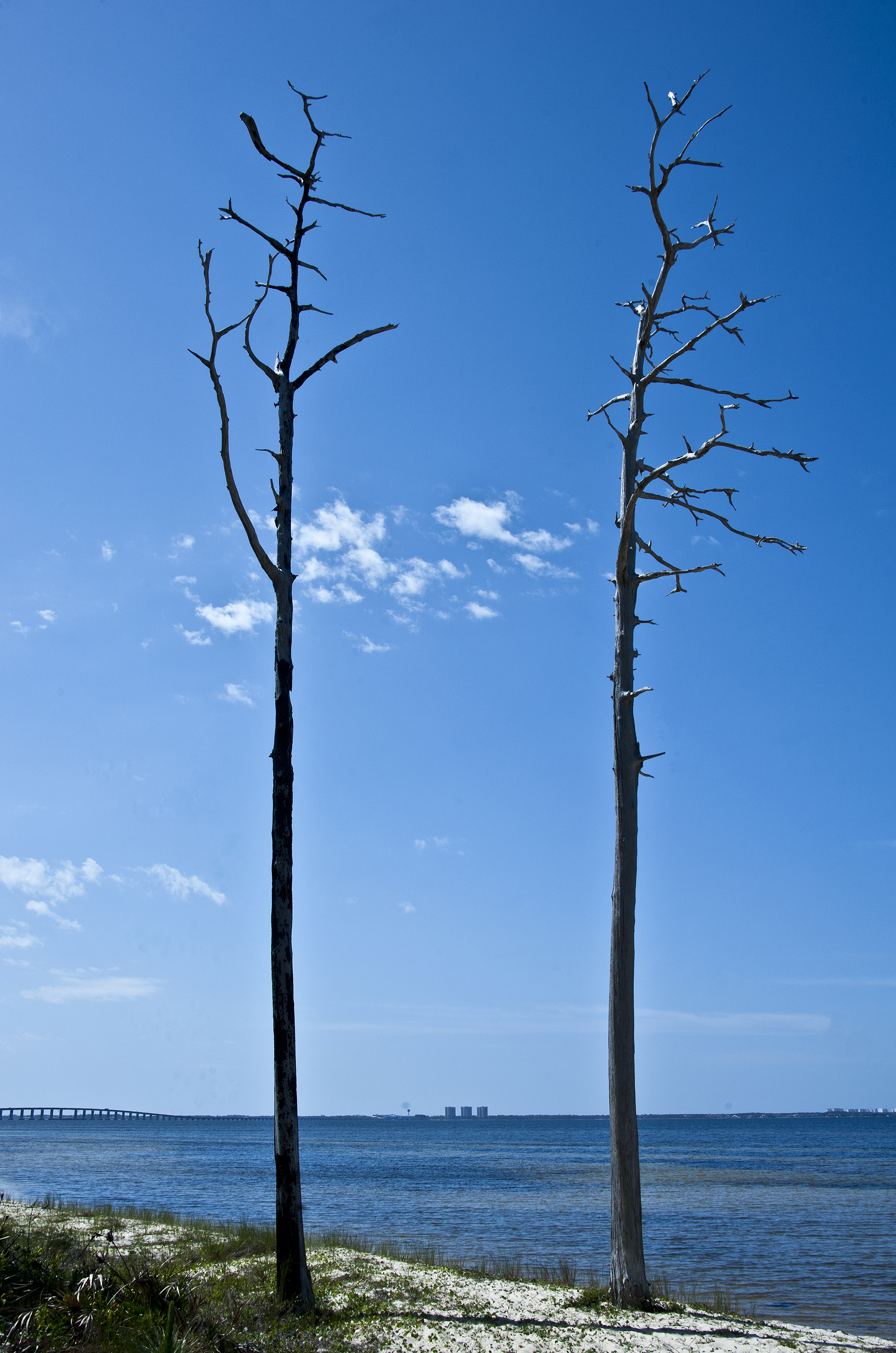 Eco tour displays Eglin's natural resource stewardship > Eglin Air