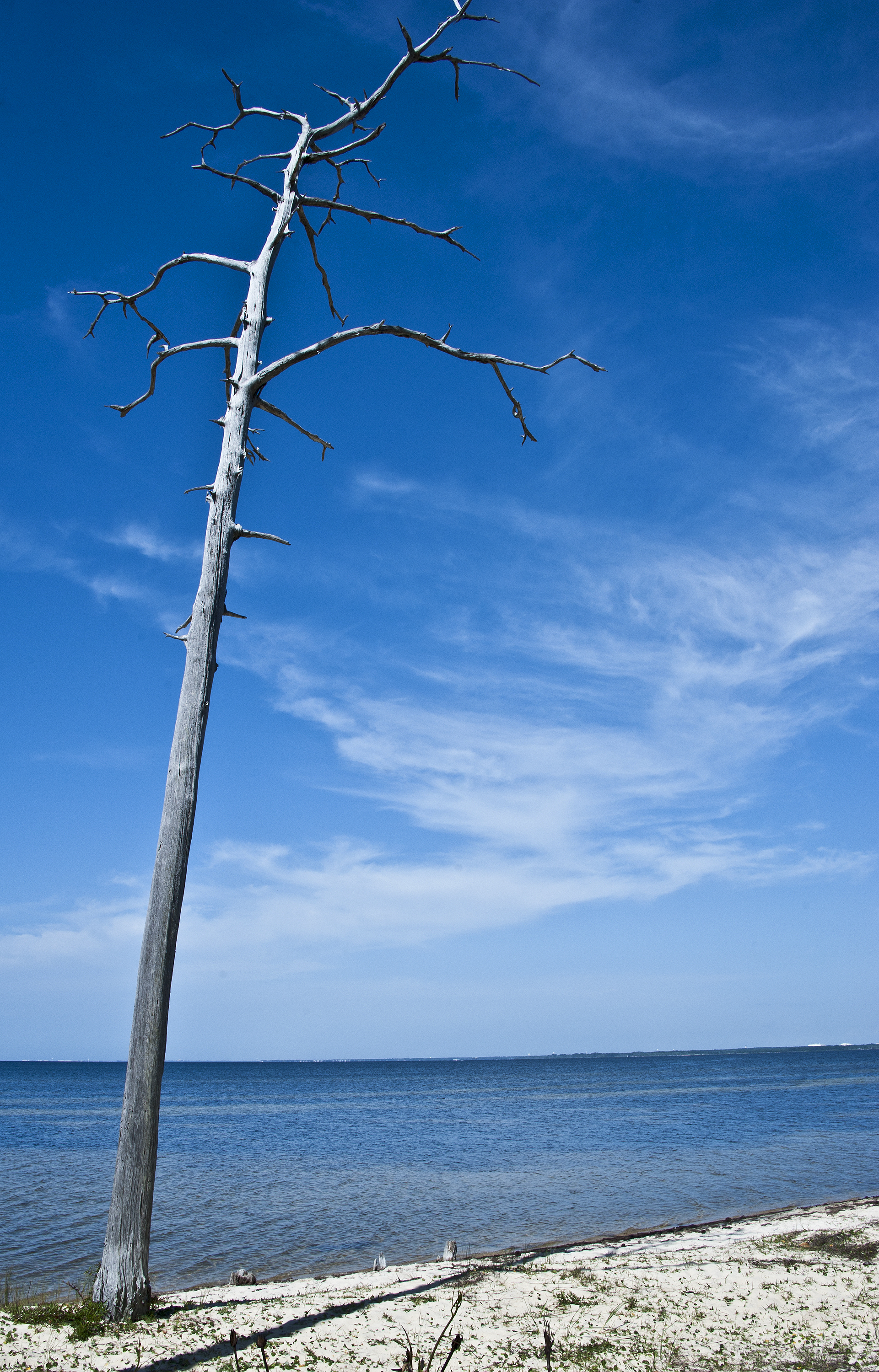 Eco tour displays Eglin's natural resource stewardship > Eglin Air