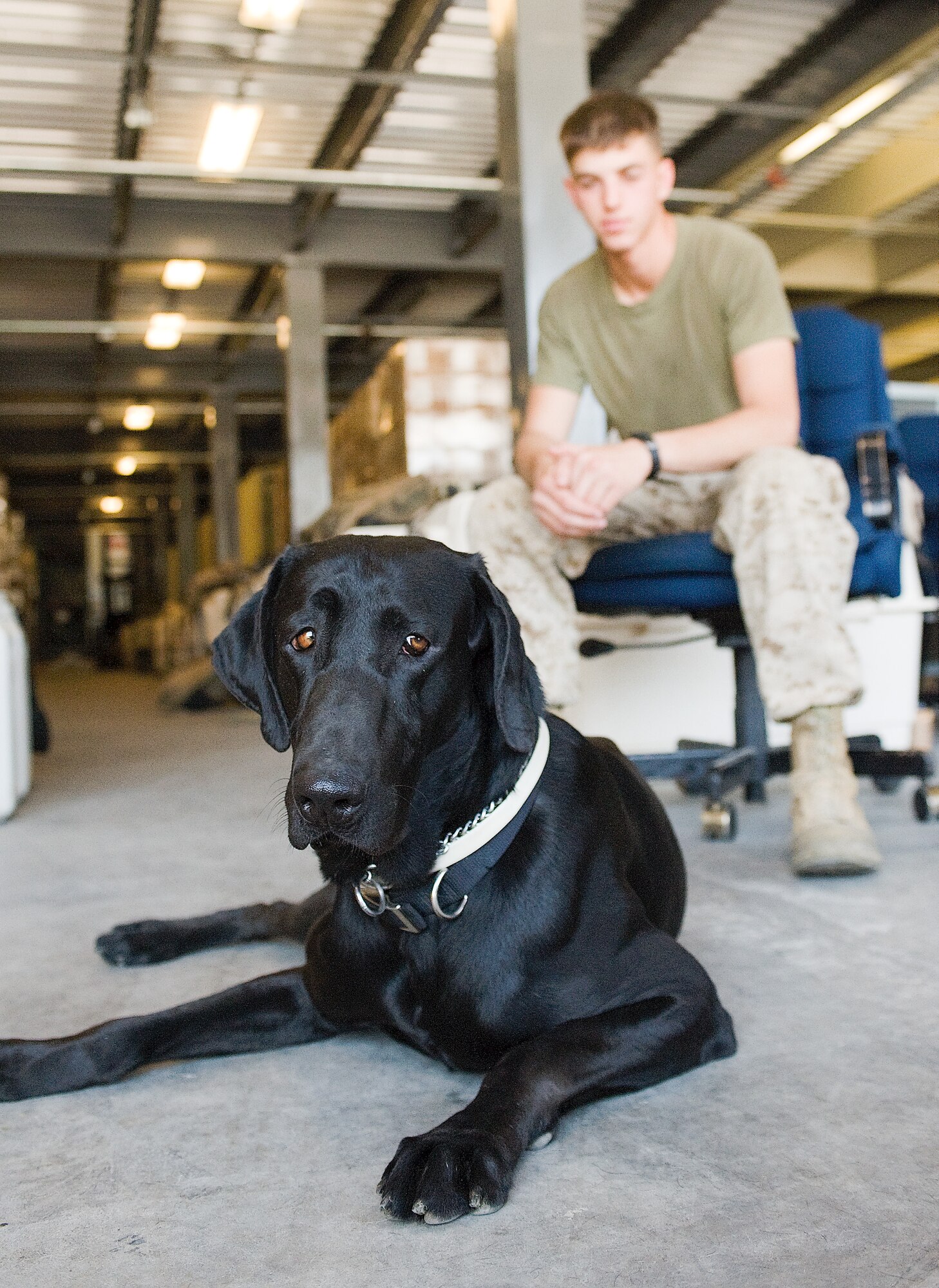 Lance Corporal Josh Burton, an infantryman with Kilo Company, 3rd Battalion, 7th Marine Regiment, relaxes with his military working dog, Jet, after returning from a deployment to Afghanistan April 16, 2012, at Dover Air Force Base, Del. (U.S. Air Force photo by Steve Kotecki)