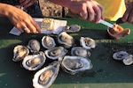 San Antonio Fiesta 2012 Oyster Bake partygoer’s can chow down on raw or baked oysters if they are looking to eat healthy during the festivities. (Courtesy photo by Edward Ornelas, San Antonio Express-News)