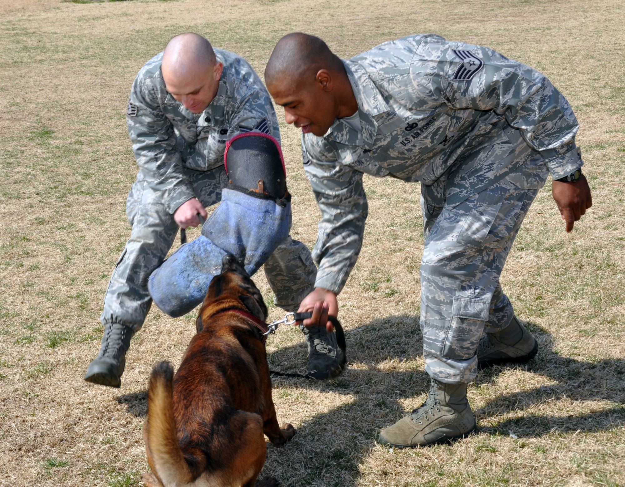 Staff Sgt. Franklin Walton, 51st Security Forces Squadron military working dog handler, gives Vito, a 2-year-old MWD, the command to stop attacking during training at Osan Air Base, Republic of Korea, April 5, 2012. Once selected for the MWD program, each dog goes through rigorous two to 12 months of training at Joint Base San Antonio – Lackland Air Force Base, Texas.  (U.S. Air Force photo/Airman 1st Class Michael Battles)