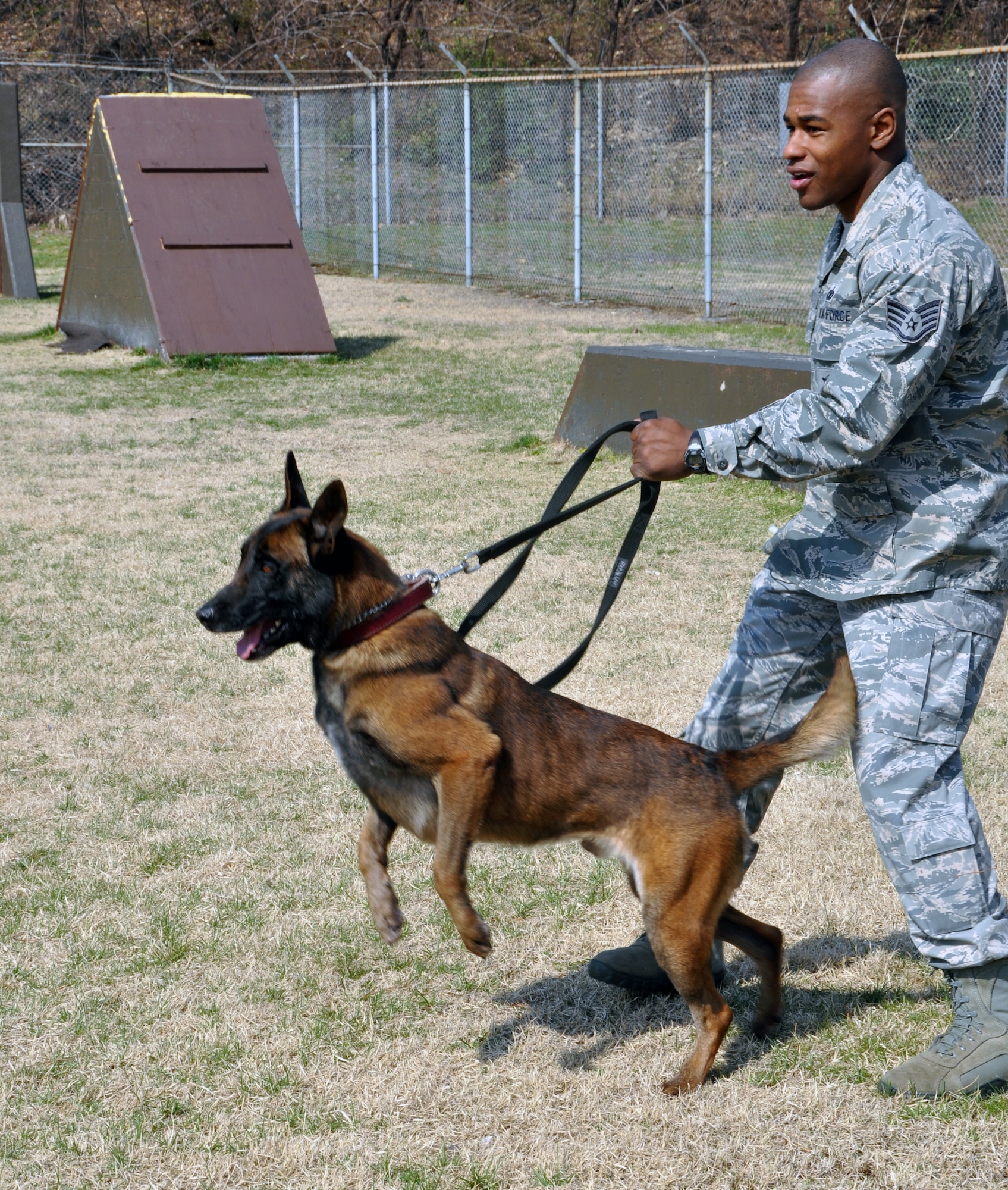 Staff Sgt. Franklin Walton, restrains Vito, a 2-year-old military working dog, before releasing him to attack during training at Osan Air Base, Republic of Korea, April 5, 2012. MWD’s can be brought into the program as early as 10 months old, but must begin training before reaching the age of 2. Walton is a 51st Security Forces Squadron military working dog handler.   (U.S. Air Force photo/Airman 1st Class Michael Battles)