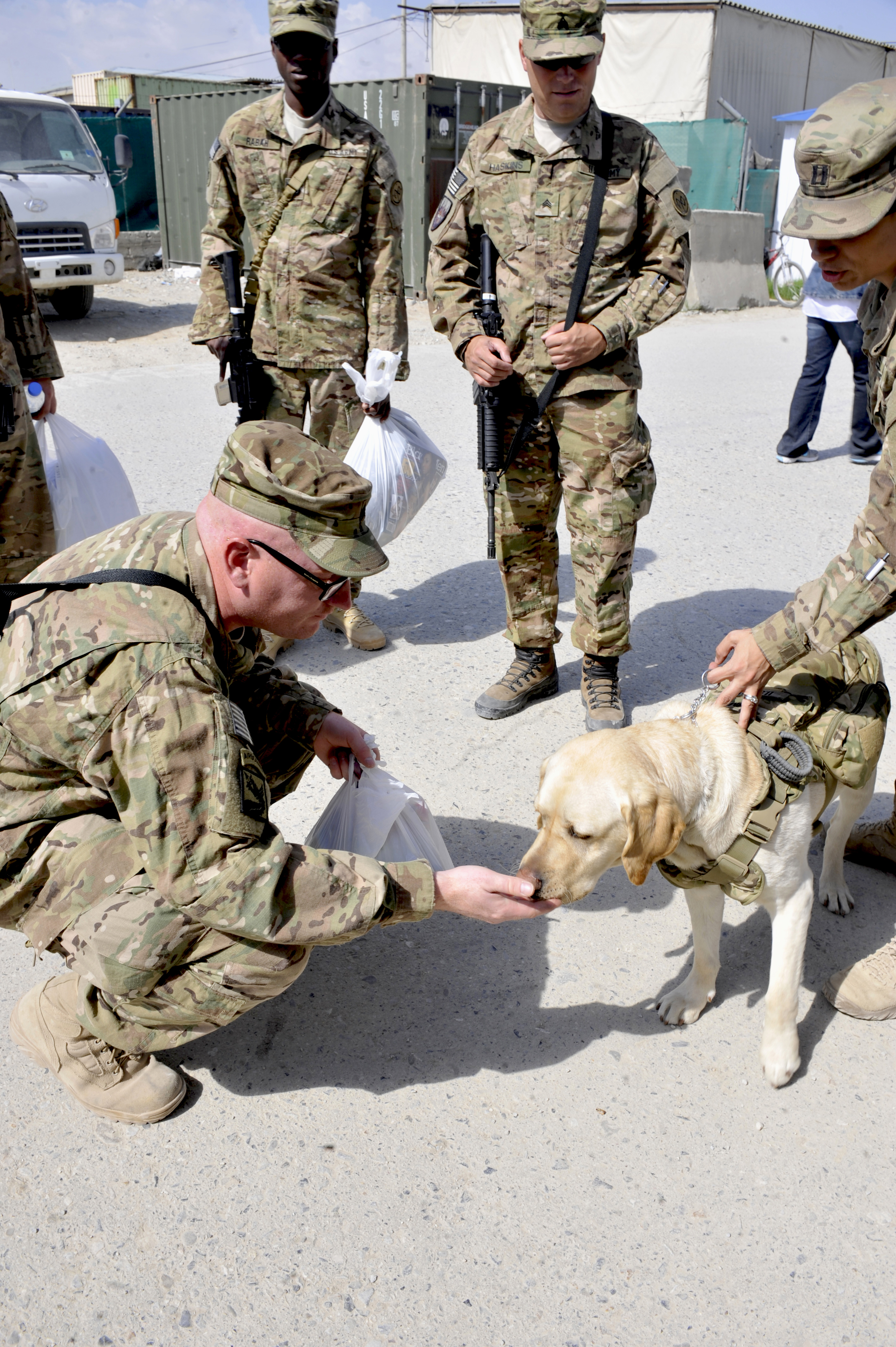 US.ARMY / ボトム/32/コットン/BEG/DSA100-75-C-1315 US.ARMY(ユーエスアーミー) / ボトム/32/コットン/BEG// | 古着の販売