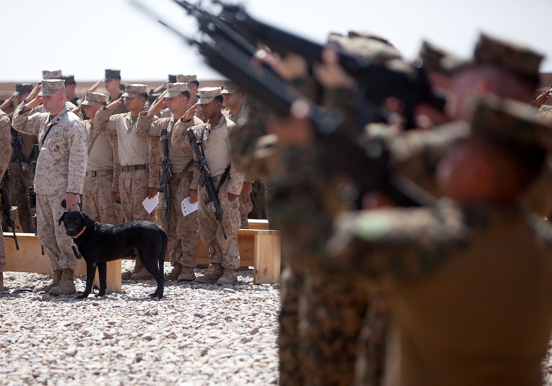 Yeager, an improvised explosive device detection dog, looks on as a firing detail with Weapons Company, 2nd Battalion, 9th Marine Regiment, fires a three-volley salute during a memorial service in honor of Lance Cpl. Abraham Tarwoe, a dog handler and mortarman who served with Weapons Company, 2nd Bn., 9th Marines, here, April 22, 2012. Tarwoe, who became Yeager’s handler in July 2011, was killed in action during a dismounted patrol in support of combat operations in Helmand province’s Marjah district, April 12. Tarwoe’s fellow Marines remember him for his contagious laughter and smile, and his unfaltering courage on the battlefield.
