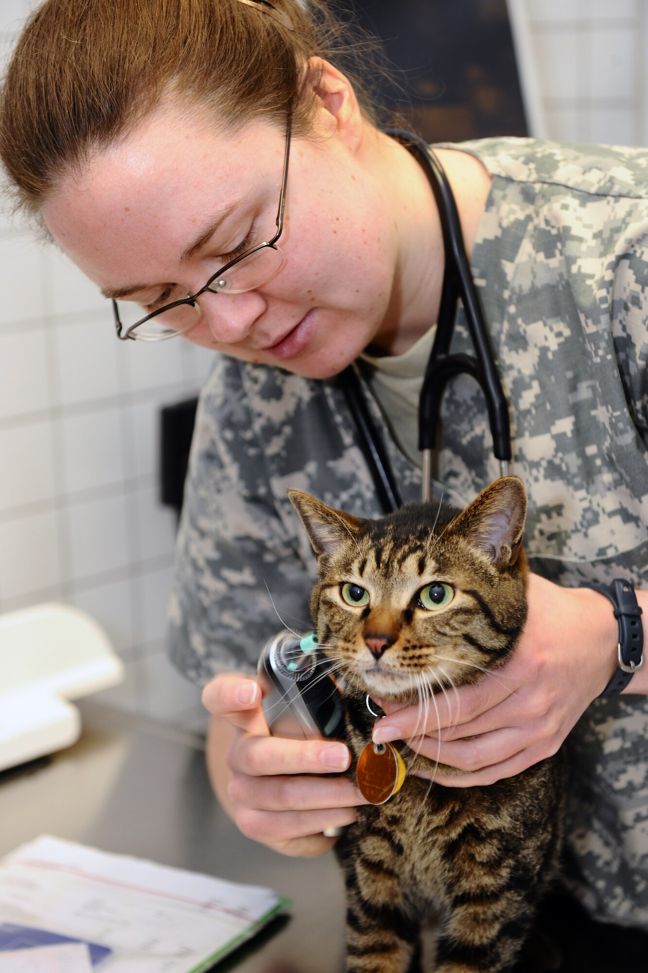 SPANGDAHLEM AIR BASE, Germany – U.S. Army Capt. Alicia Gehling, U.S. Army Medical Department Europe Regional Veterinary Command Spangdahlem Veterinary Clinic officer in charge, checks the temperature of a cat inside the clinic as part of an initial vitals check here April 20. The clinic cares for Department of Defense privately owned pets and military working dogs with services ranging from nail clippings to elective surgeries such as dental work, spaying and neutering. Spangdahlem AB members are required to register their pets with the clinic within 14 days of the pet’s arrival on station. Clinic hours of operation are Monday through Friday from 8 a.m. - 12:30 p.m. and 1:30 p.m. – 4 p.m. (U.S. Air Force photo by Airman 1st Class Dillon Davis/Released)