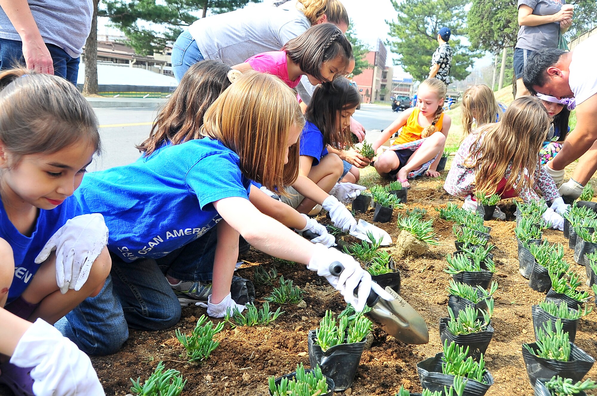 Osan Girl Scouts honored Arbor Day and Earth Day by planting 200 moss flowers and 10 azalea bushes worth approximately $800 here, April 20, 2012. Before planting, each scout received a brief on the history behind the day’s celebration and the importance of its cause. The flowers and trees were planted near the Osan American Elementary School’s student drop-off zone. (U.S. Air Force photo/Senior Airman Adam Grant)